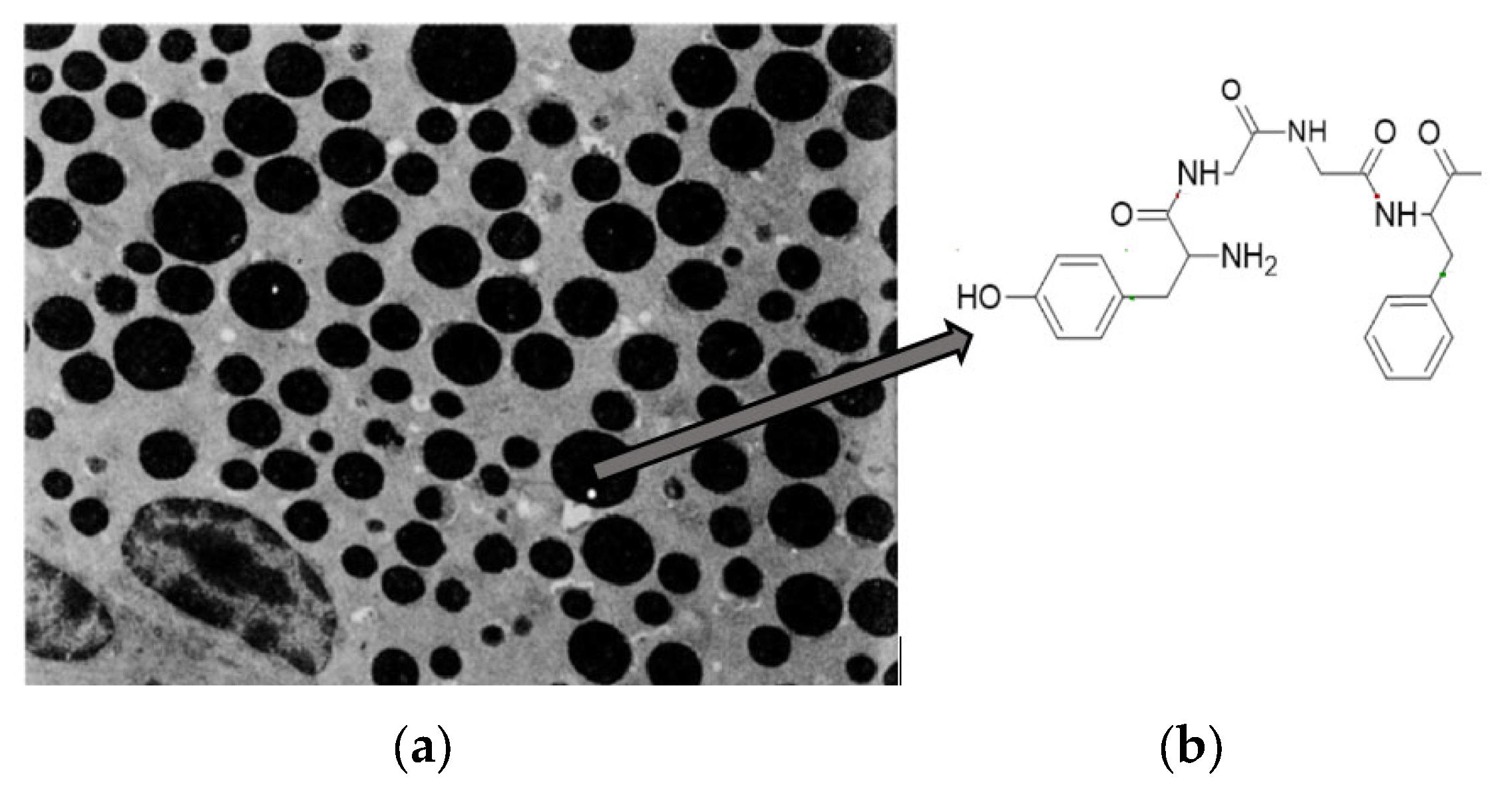 Scipharm 93 00003 g001