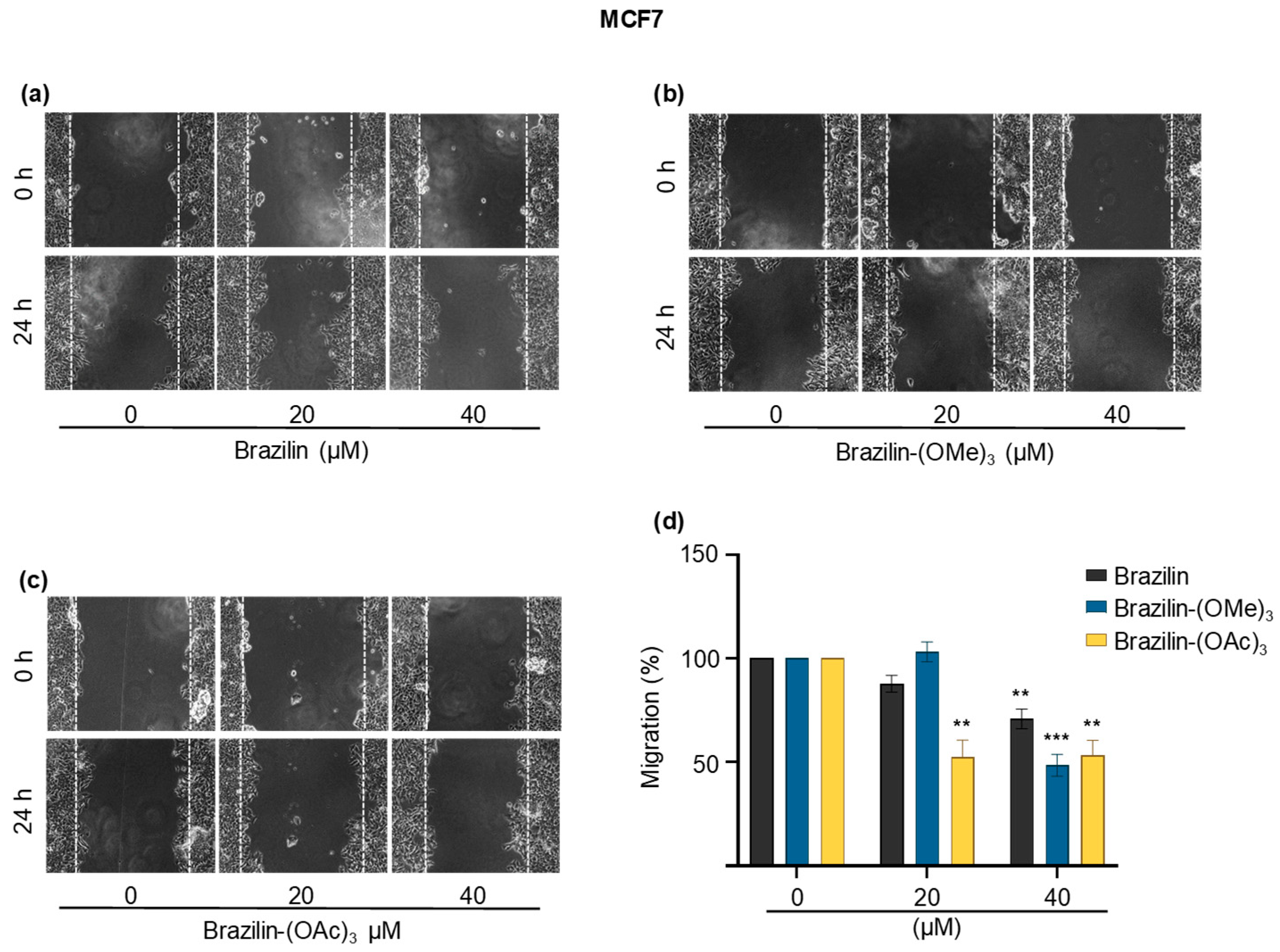 Scipharm 93 00004 g006