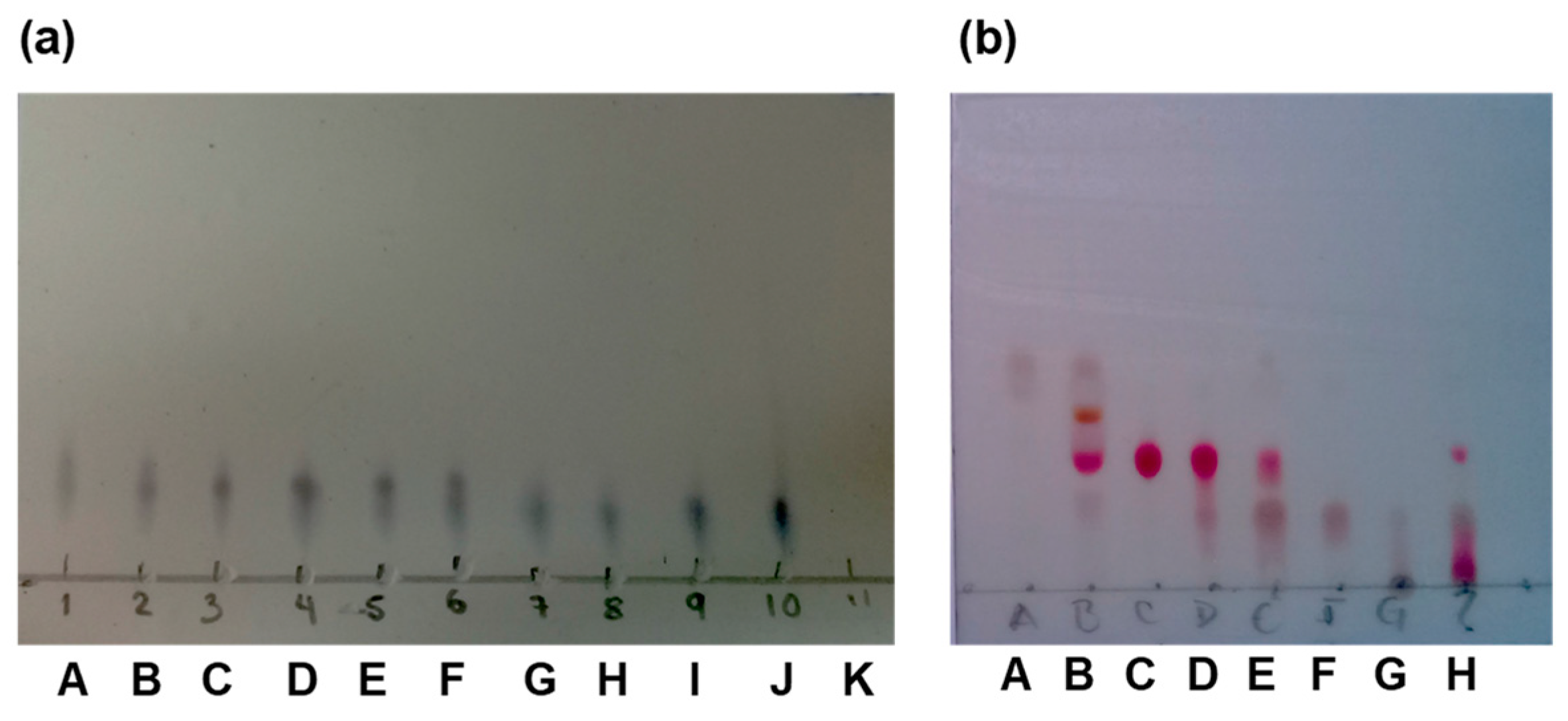 Scipharm 93 00004 g0a1