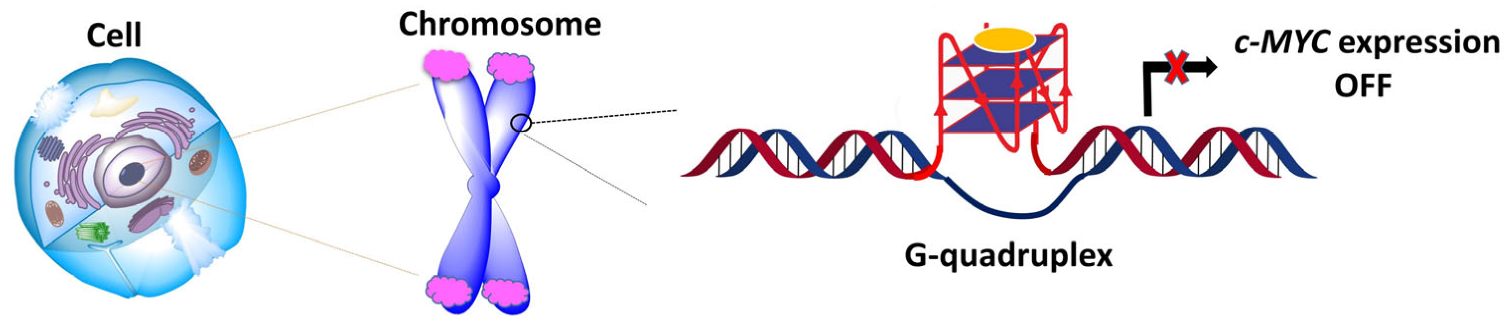 Scipharm 93 00006 g001