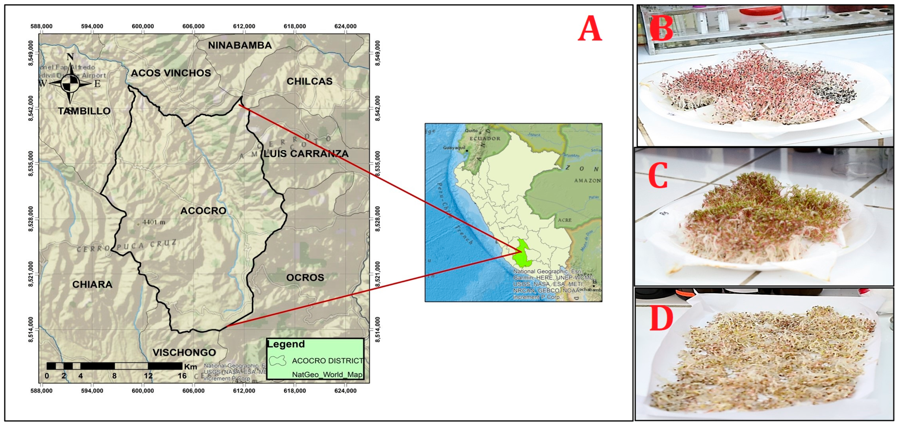 Scipharm 93 00010 g001