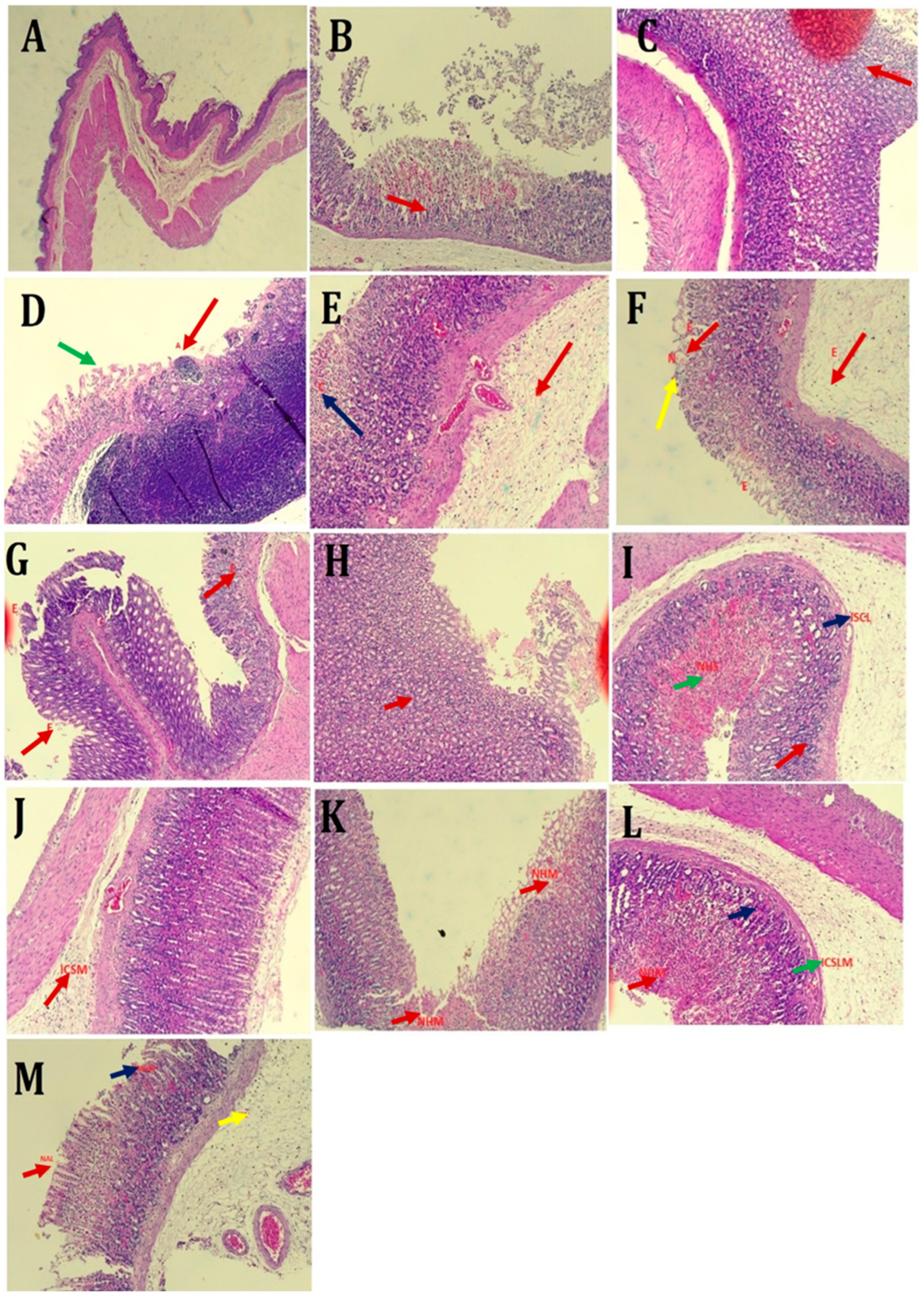 Scipharm 93 00010 g006