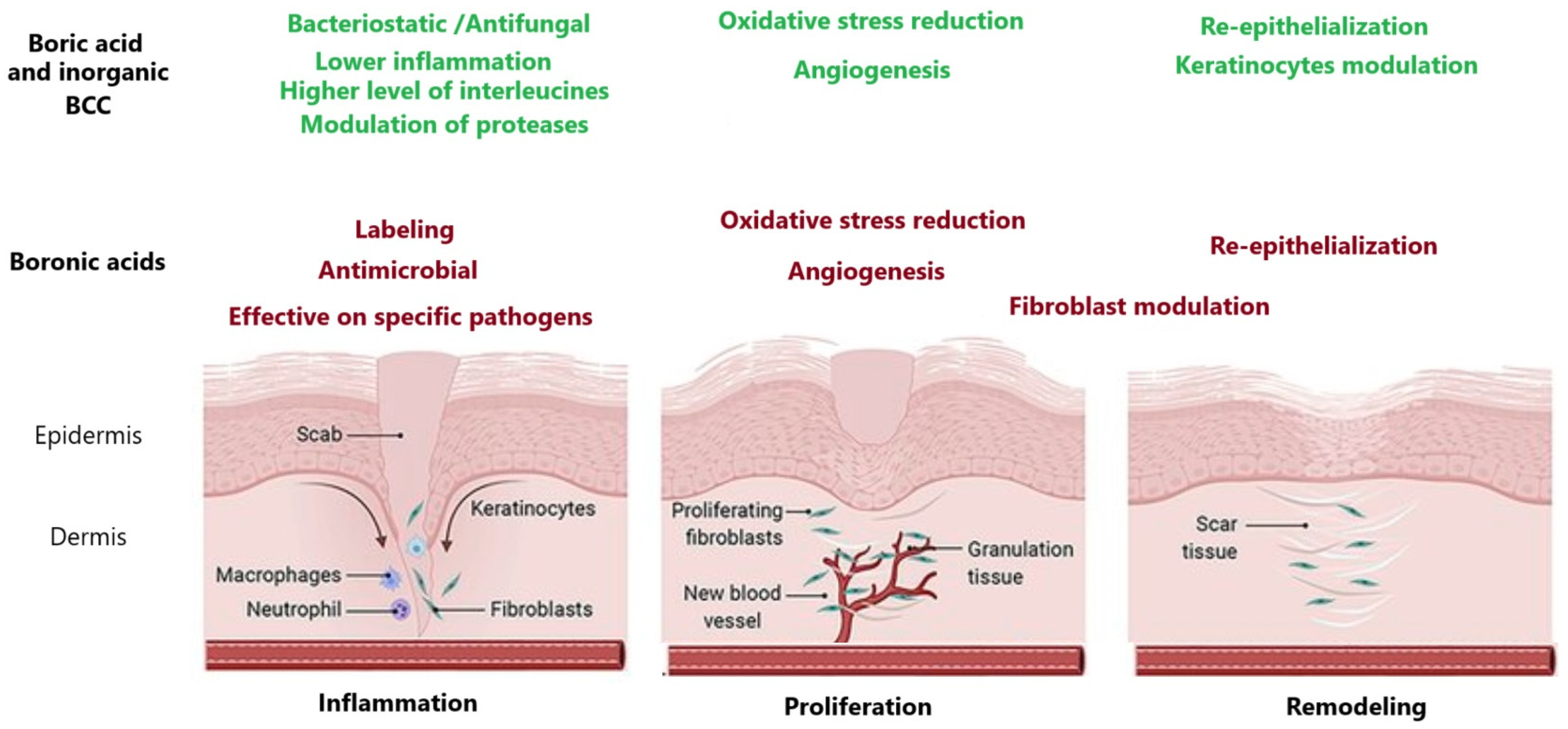 Scipharm 93 00014 g003