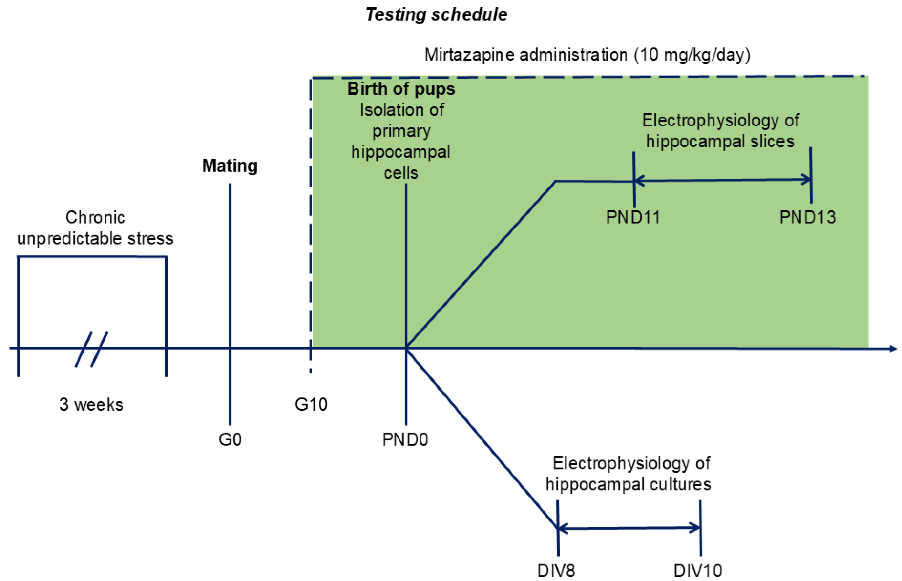 Scipharm 93 00017 g007