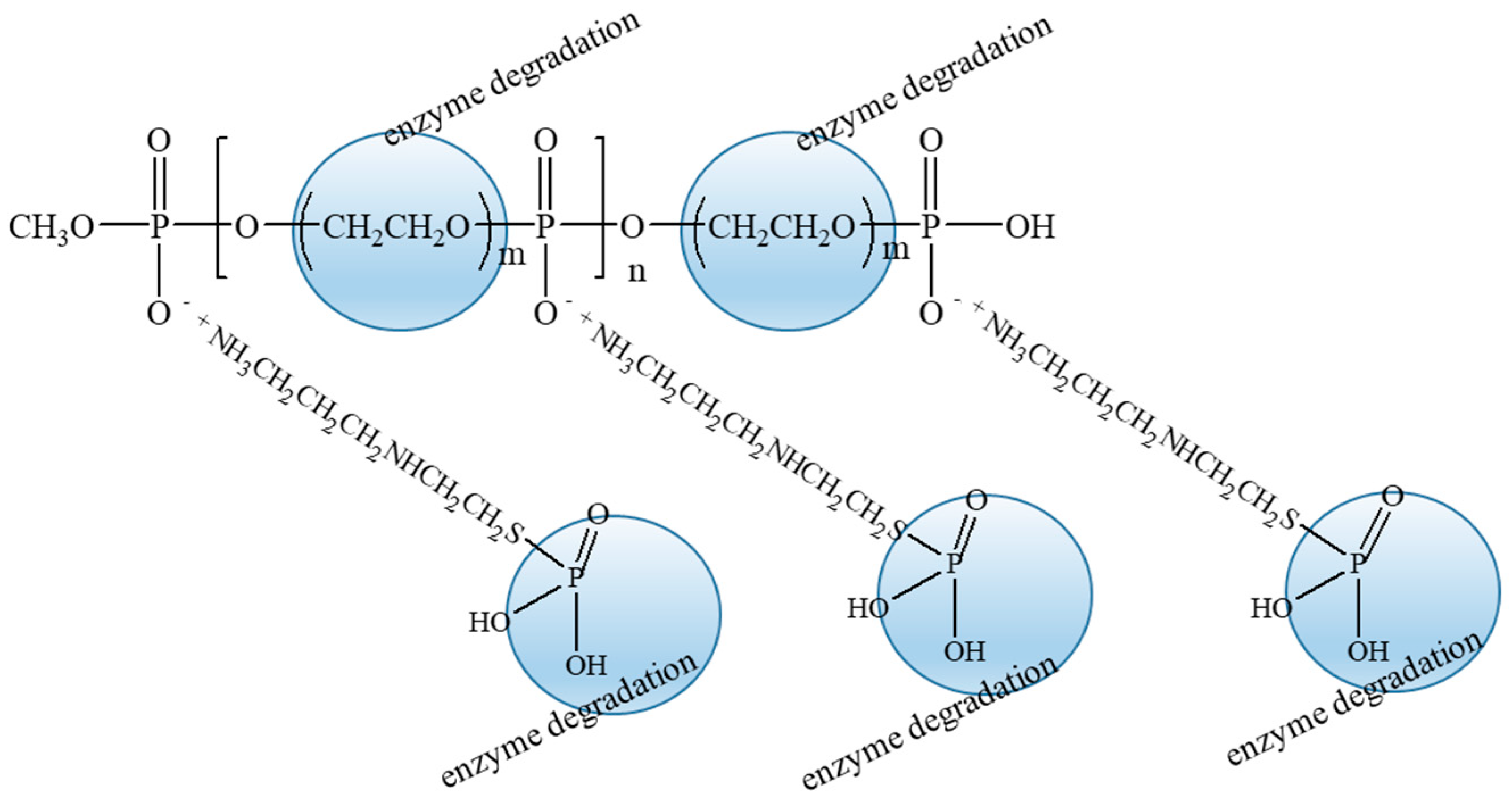 Scipharm 93 00021 sch003