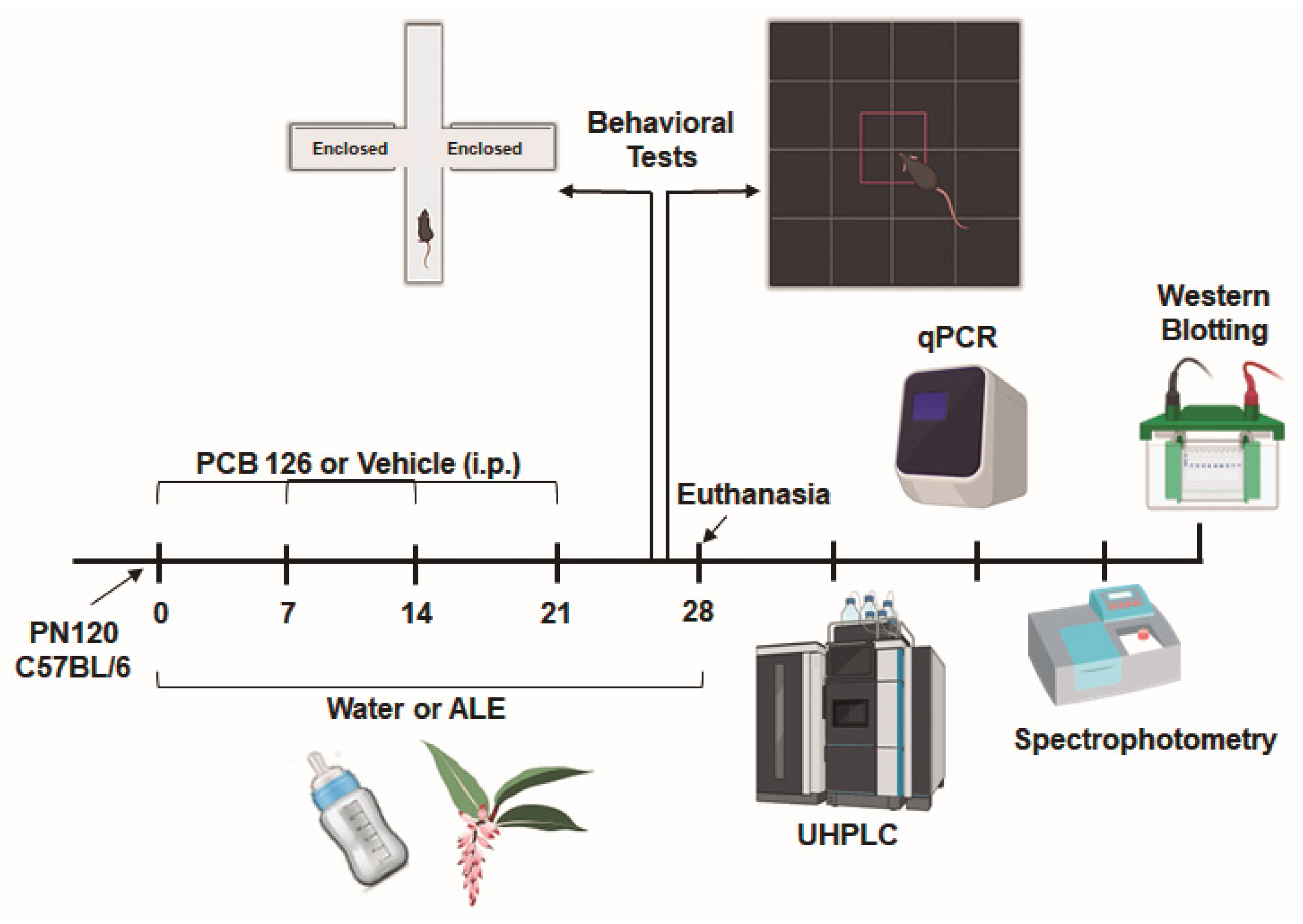 Scipharm 93 00023 g001