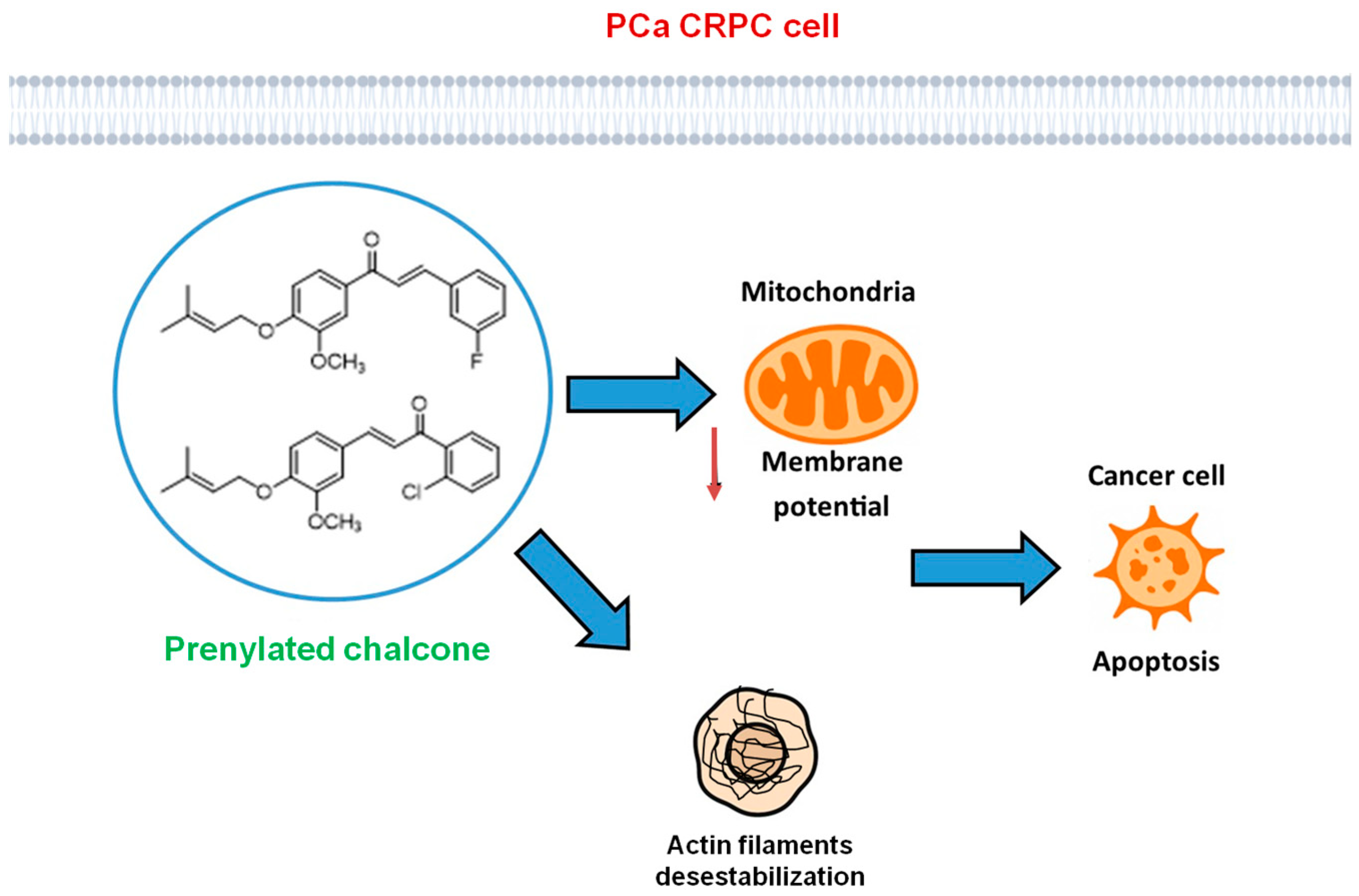Scipharm 93 00025 g007