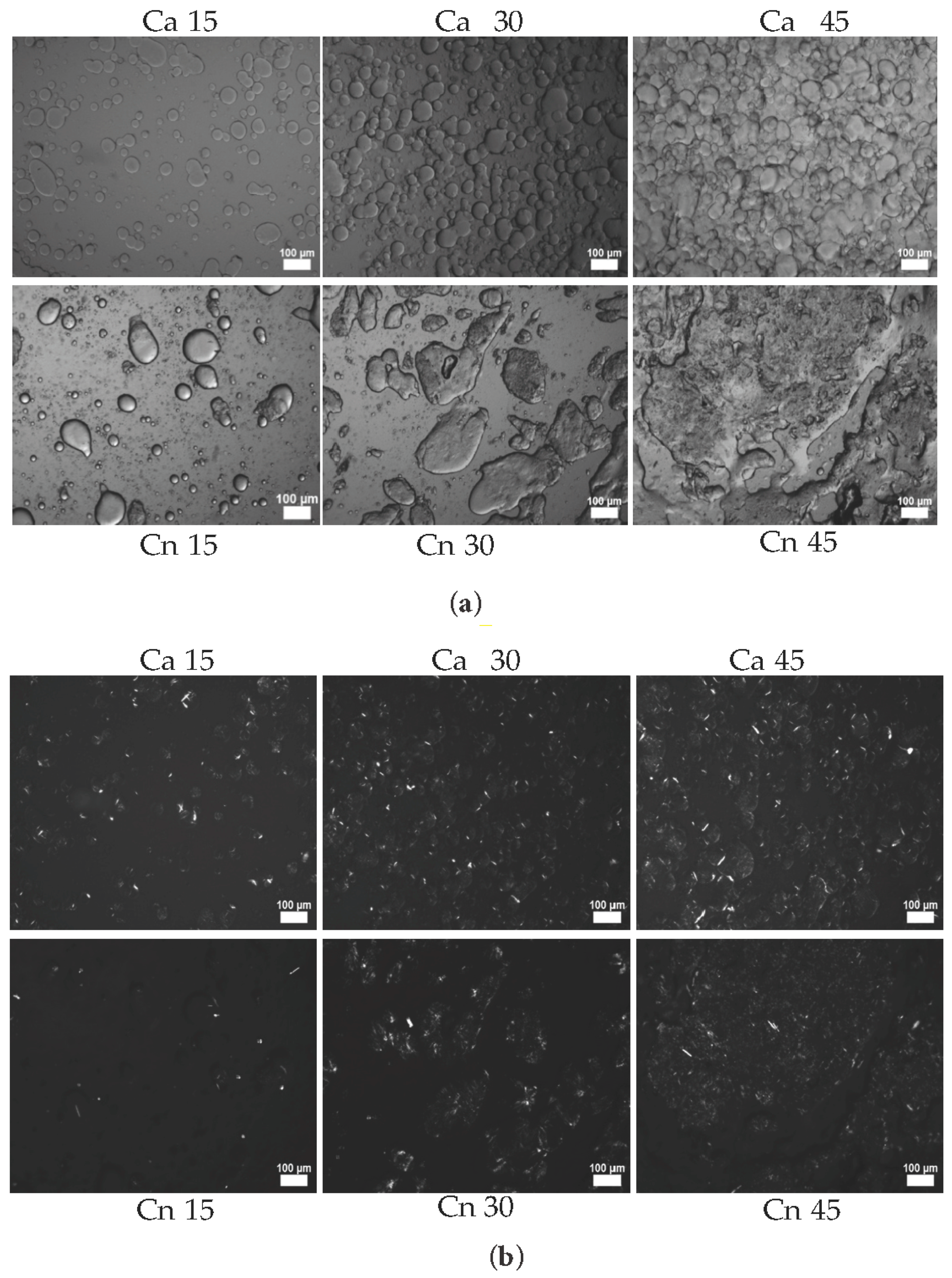 Scipharm 93 00028 g004