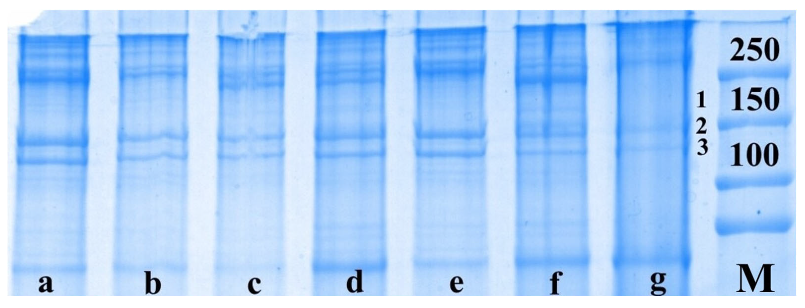 Scipharm 93 00032 g002