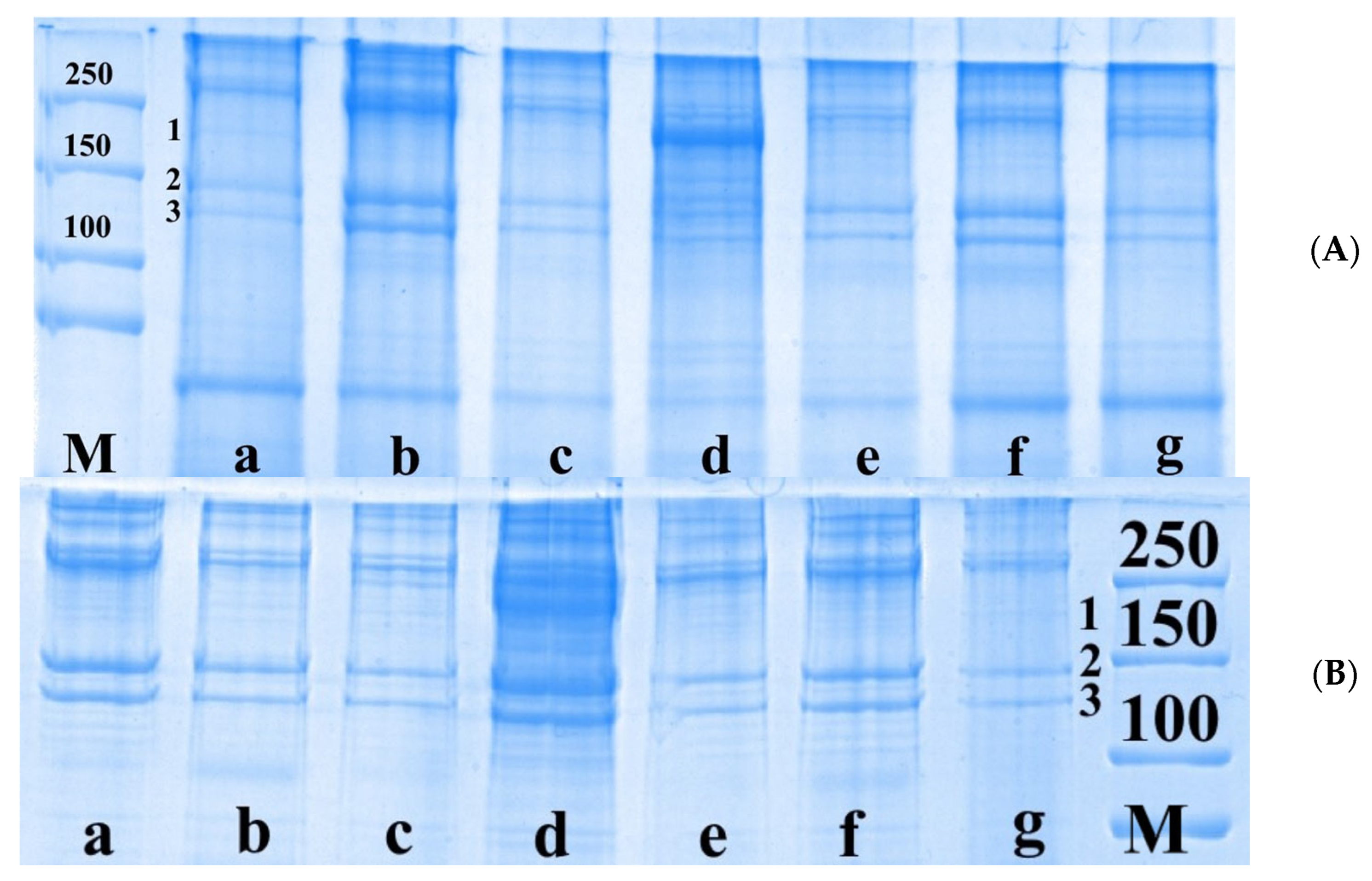 Scipharm 93 00032 g004