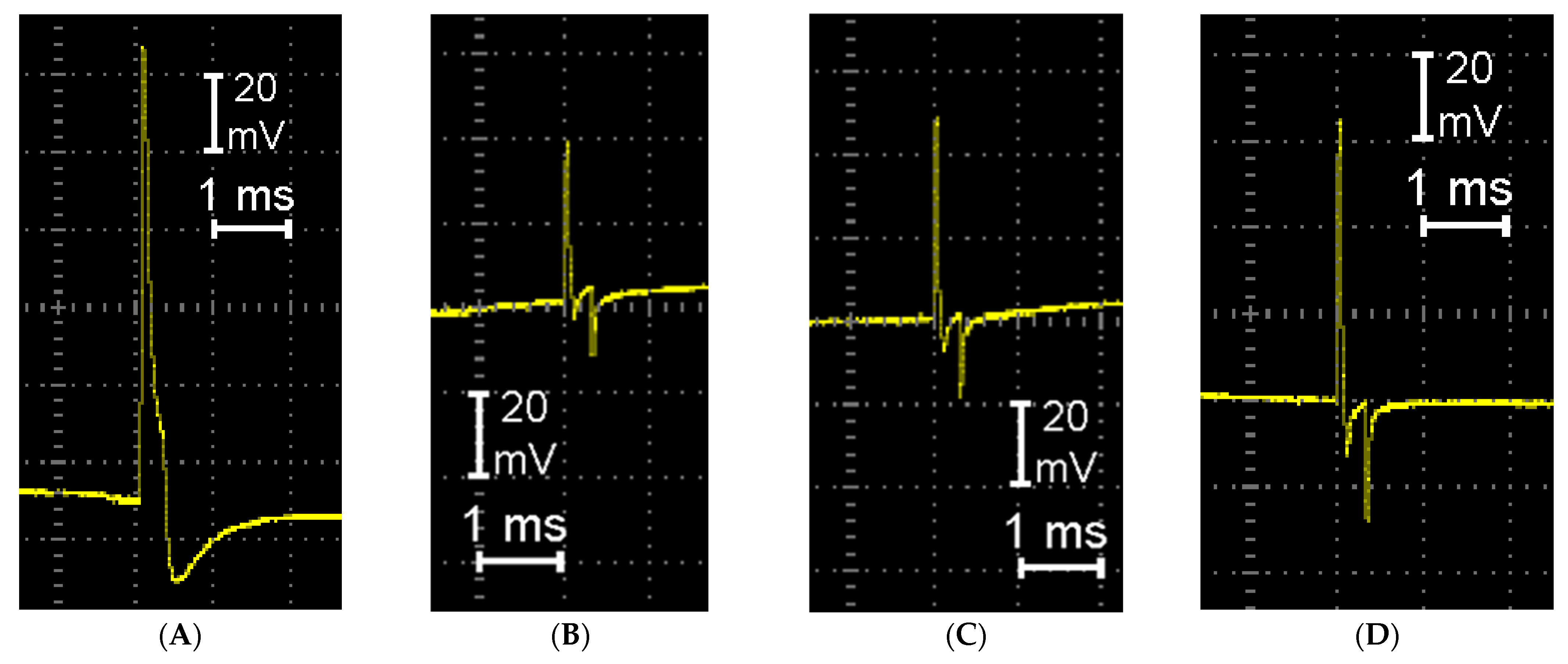Scipharm 93 00032 g009