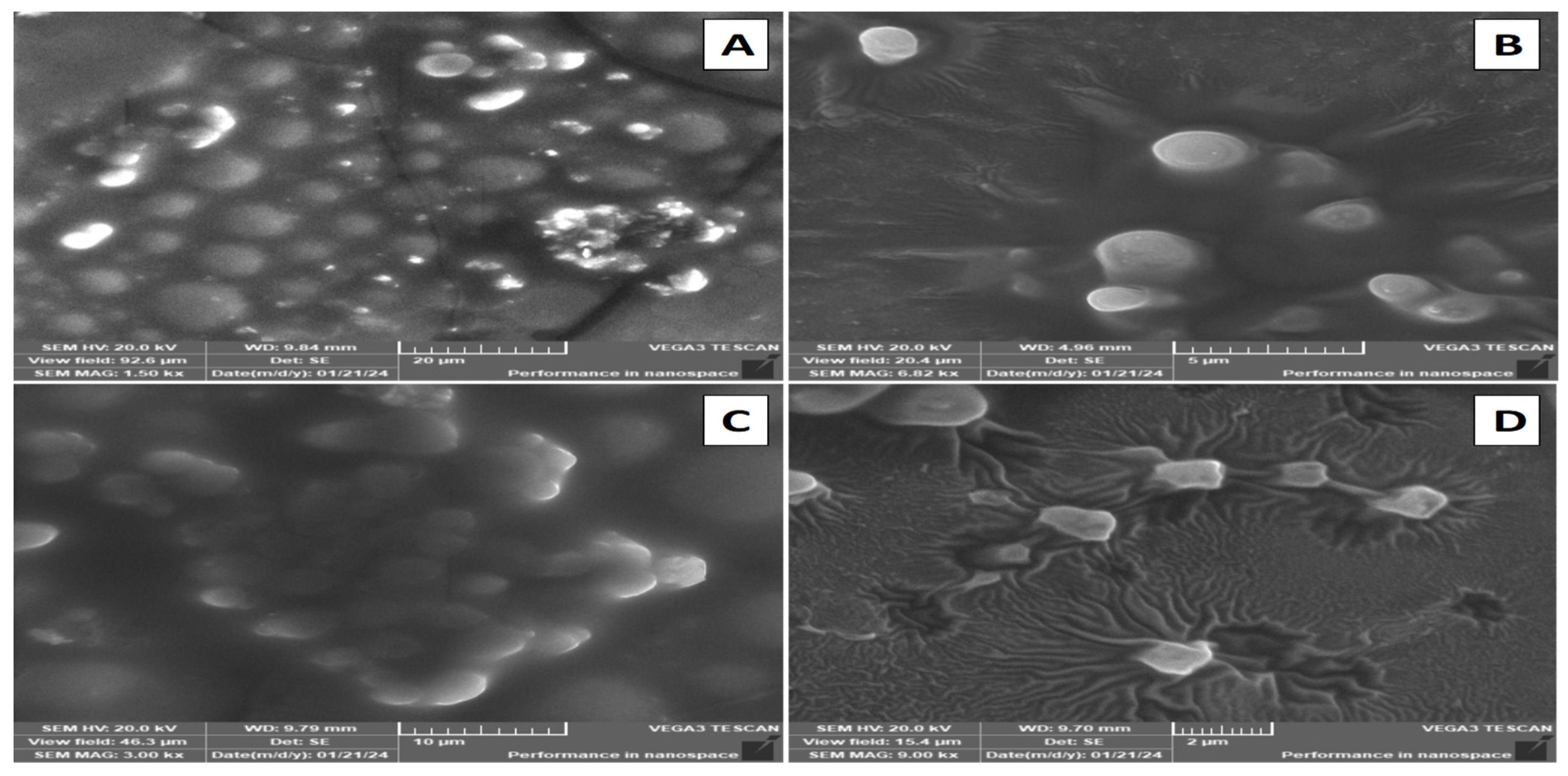Scipharm 93 00037 g014 Scipharm 93 00037 g014