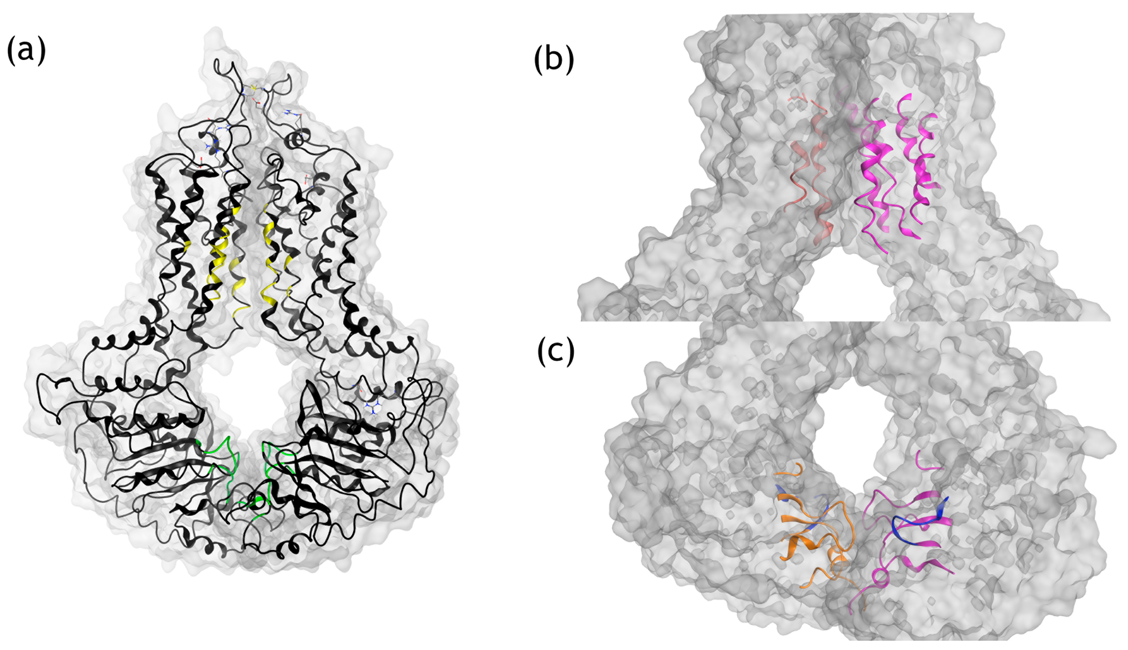 Scipharm 93 00040 g005 Scipharm 93 00040 g005