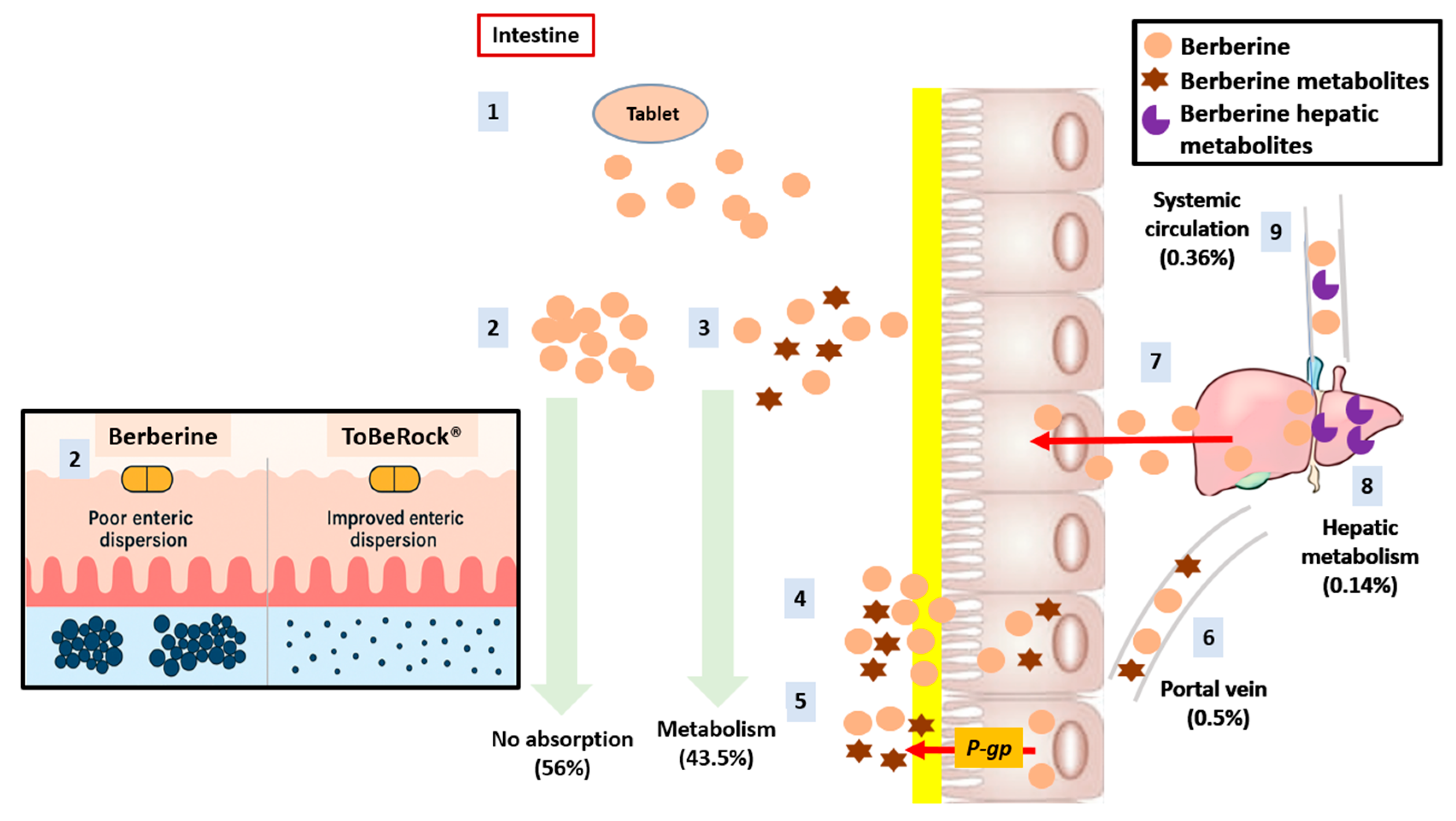 Scipharm 93 00042 g001
