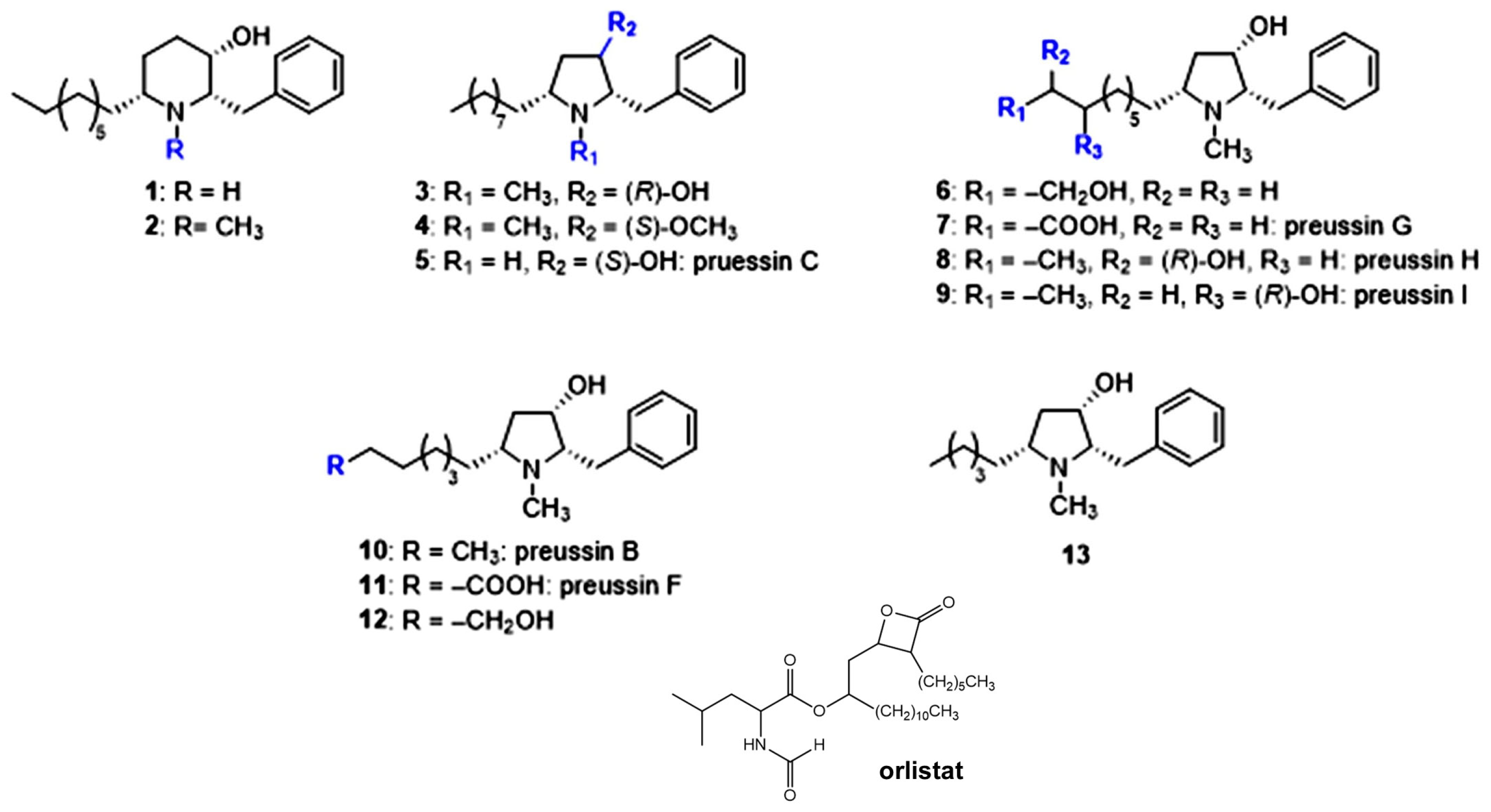 Scipharm 93 00043 g001 Scipharm 93 00043 g001