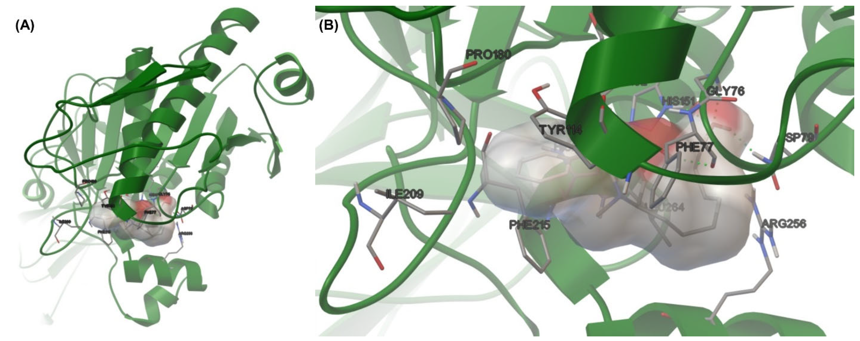 Scipharm 93 00043 g002 Scipharm 93 00043 g002