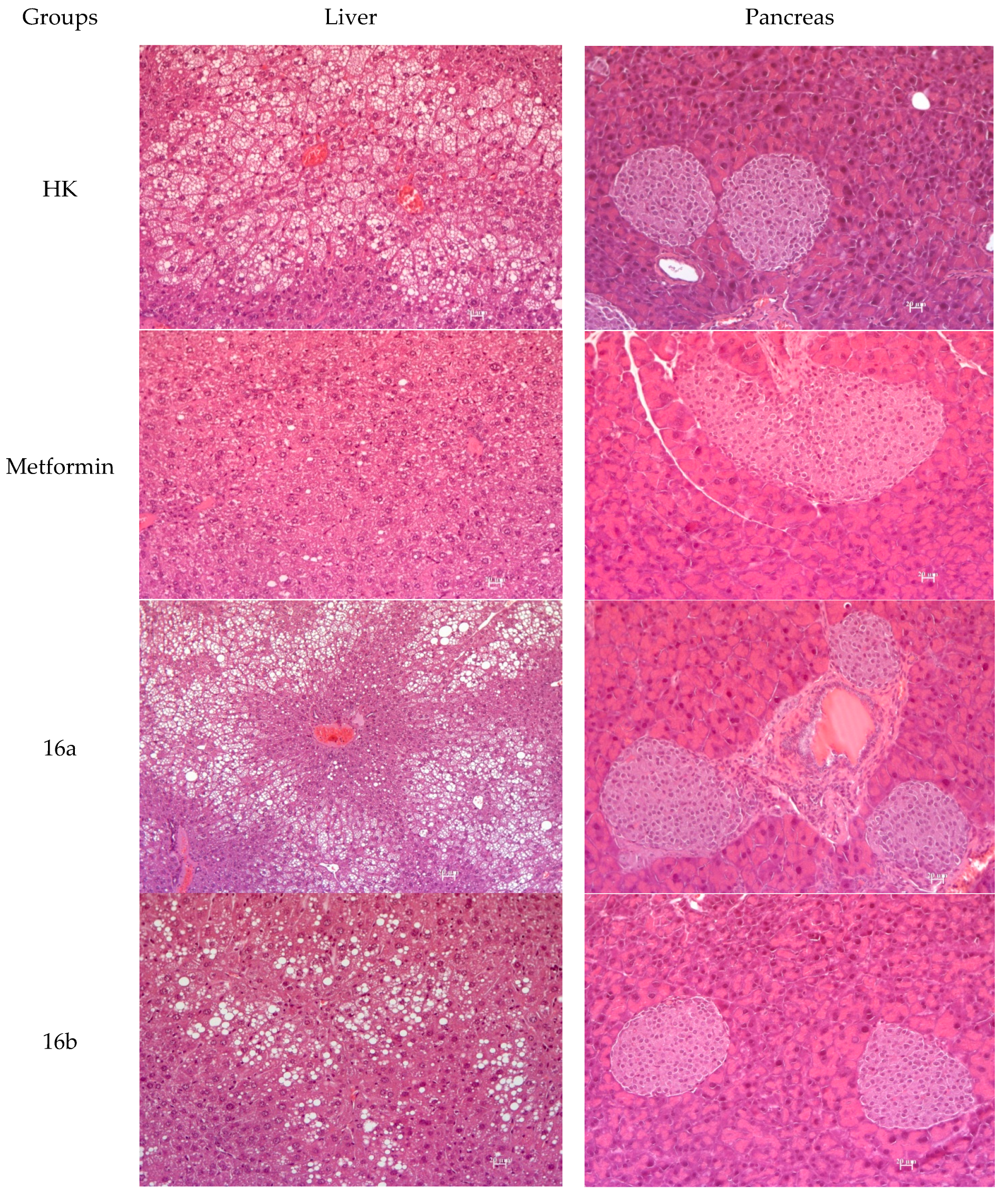 Scipharm 93 00044 g010a