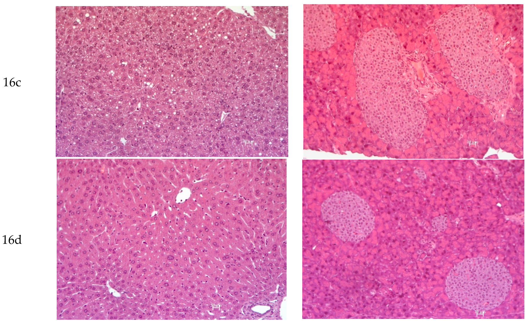 Scipharm 93 00044 g010b