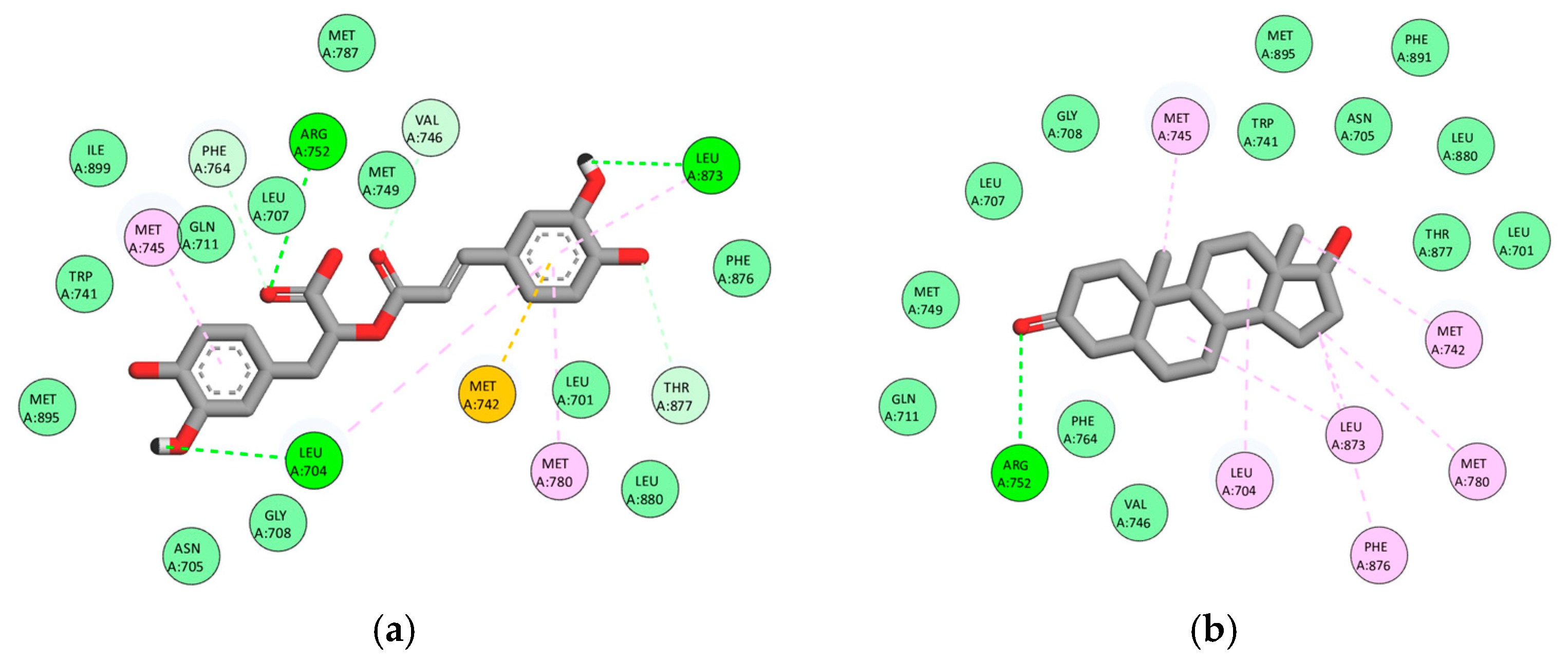 Scipharm 93 00057 g004