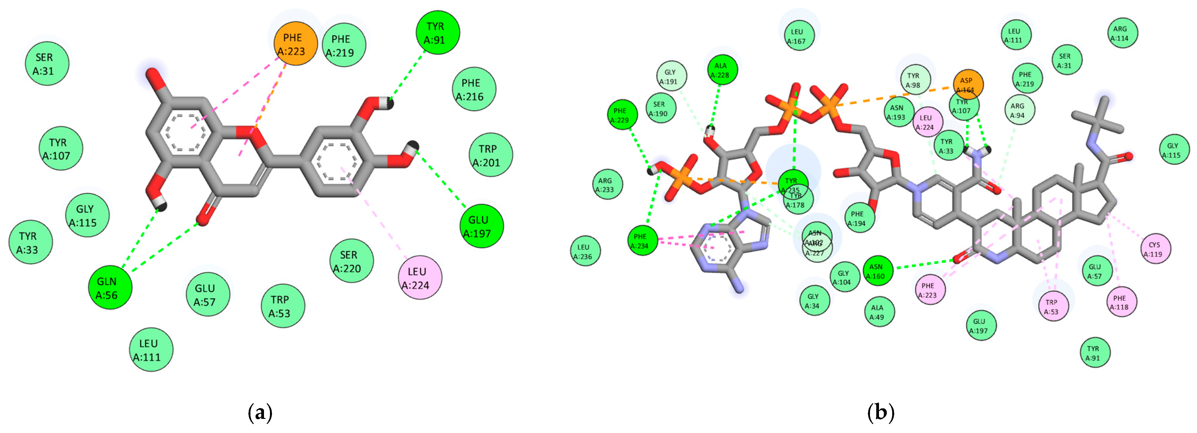 Scipharm 93 00057 g005