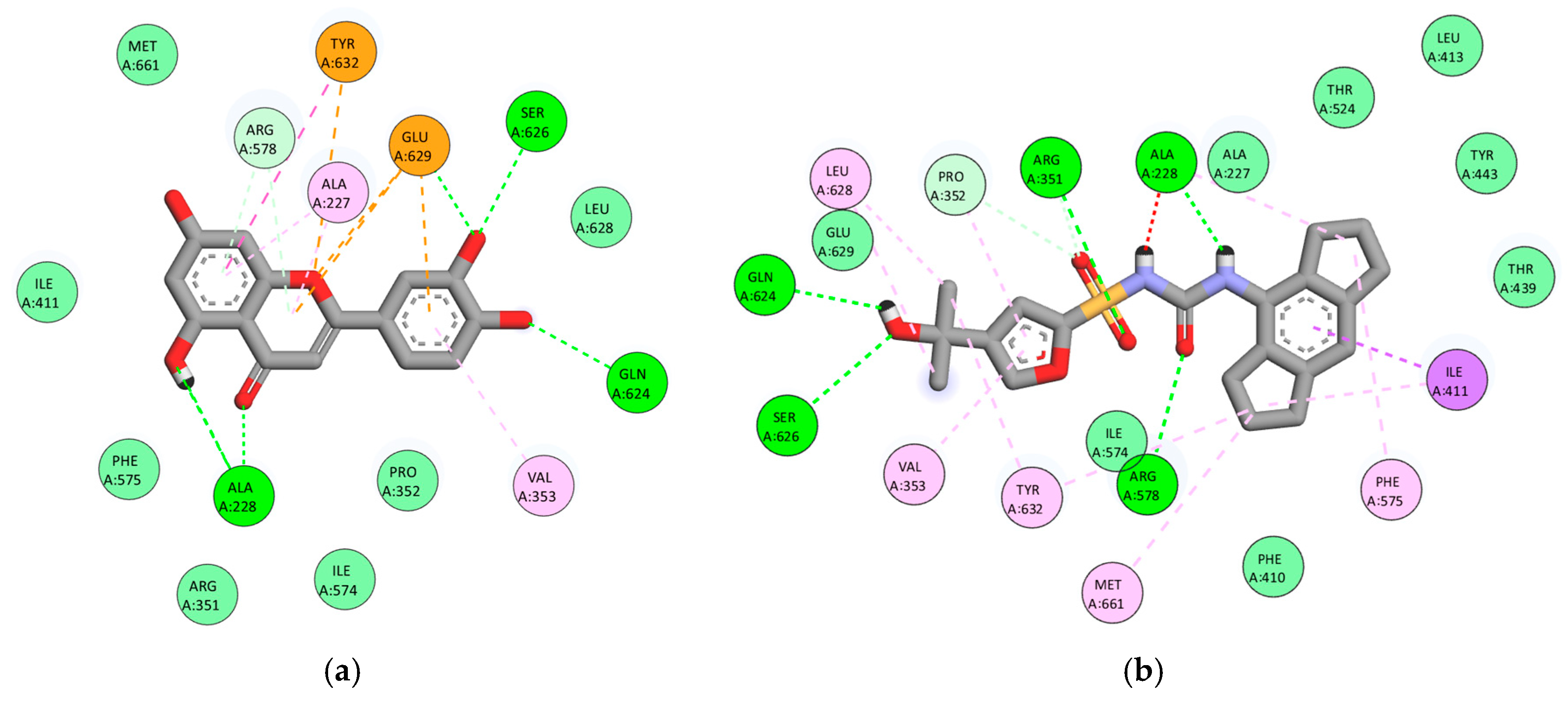 Scipharm 93 00057 g007