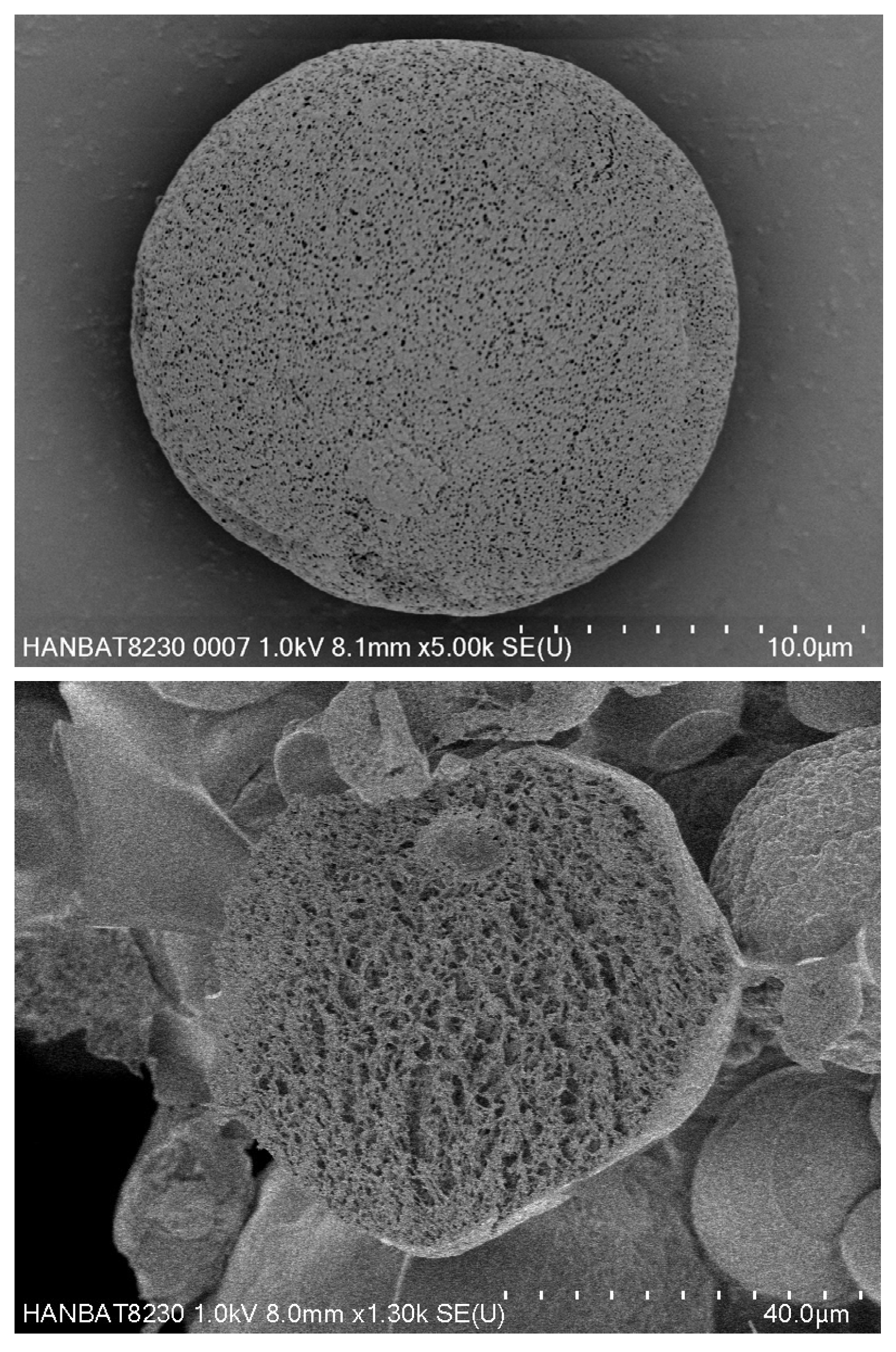 Scipharm 93 00062 g001