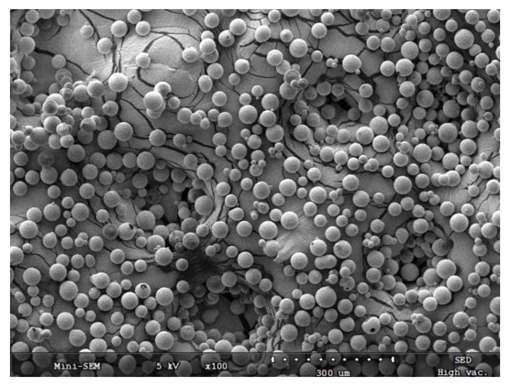 Scipharm 93 00062 g002