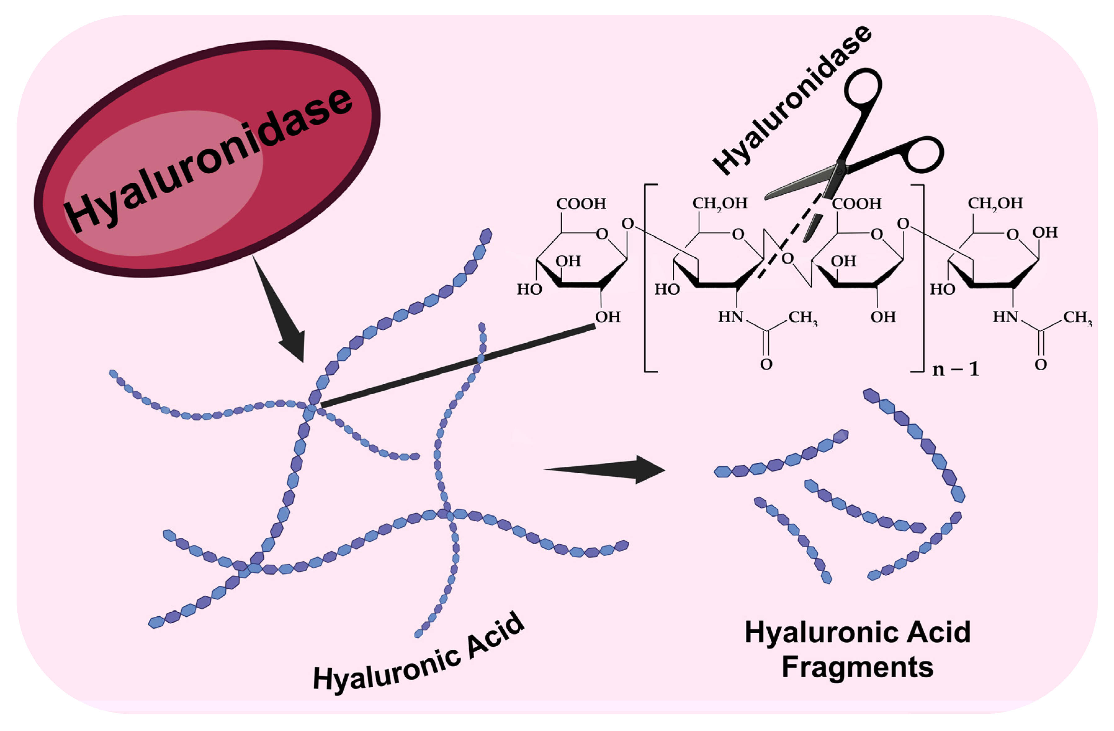 Scipharm 94 00002 g003