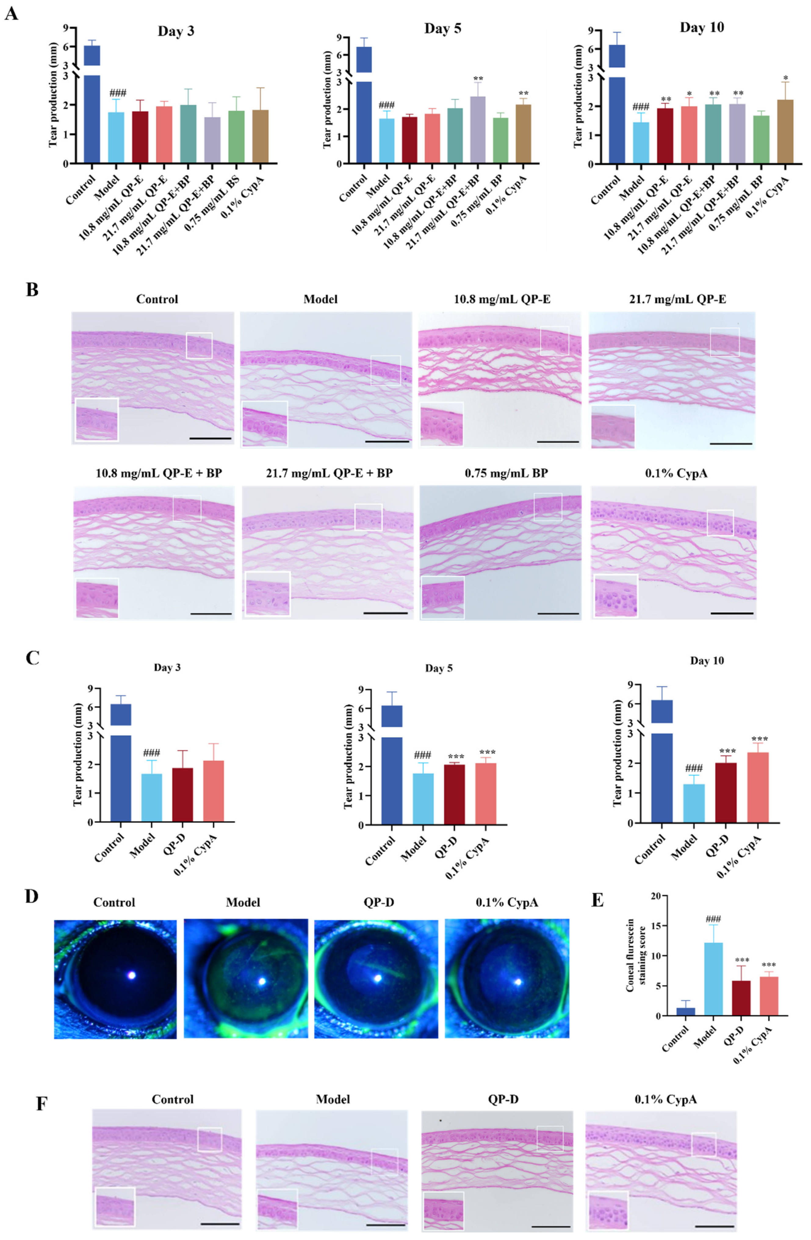 Investigation of the Efficacy of Qin Pi Extract in Alleviating Dry