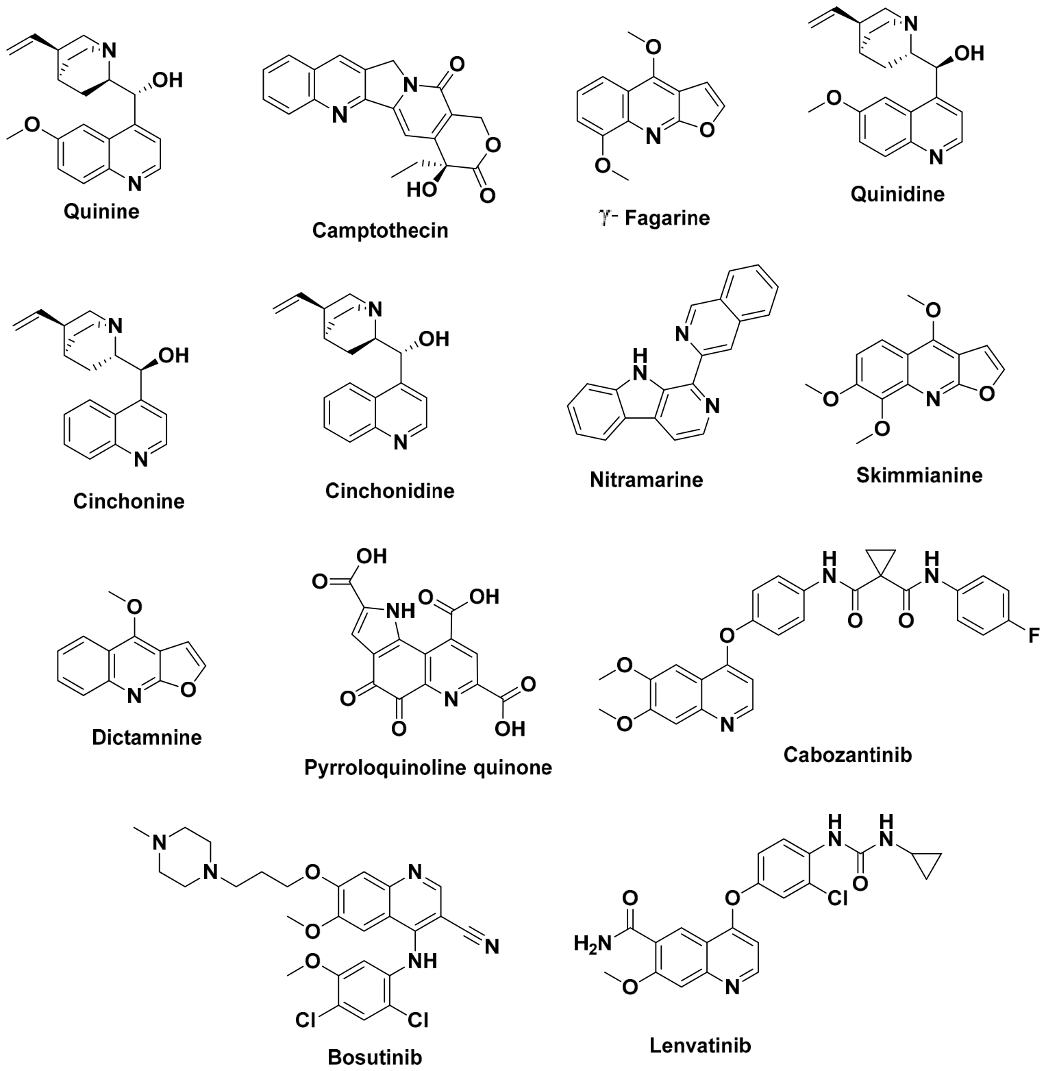 Scipharm 94 00070 g002