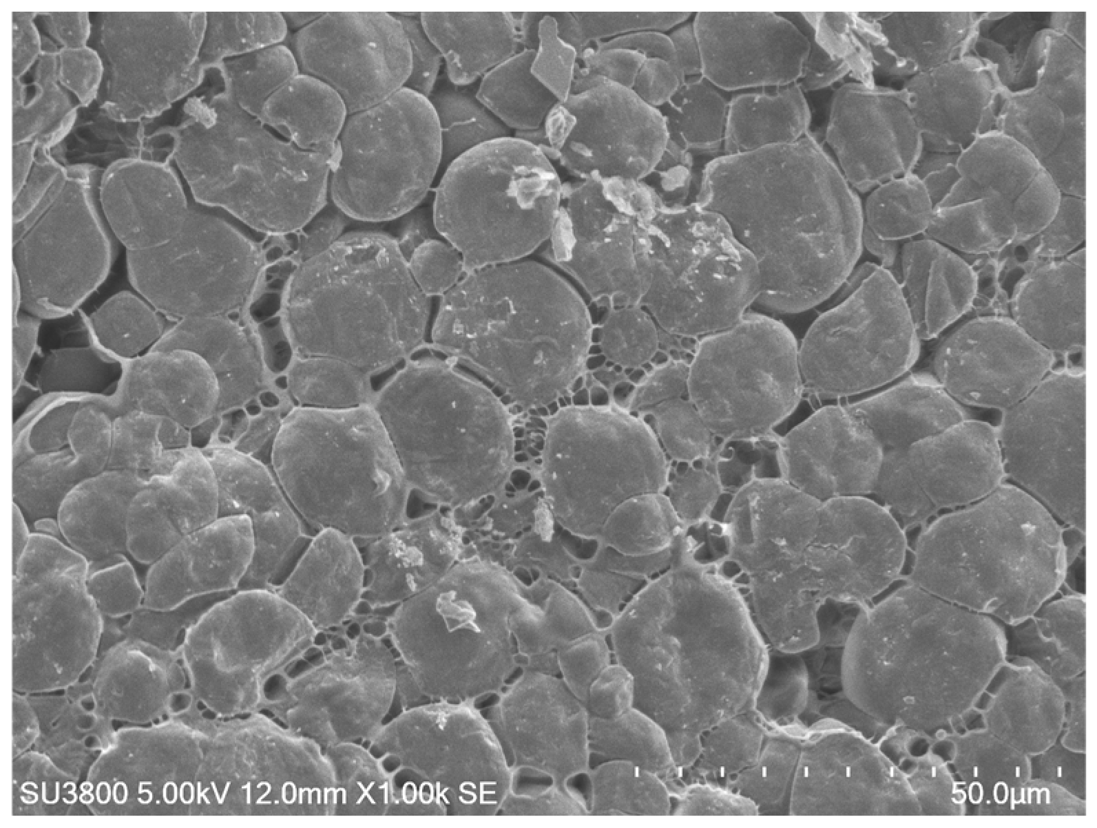 Scipharm 94 00073 g004