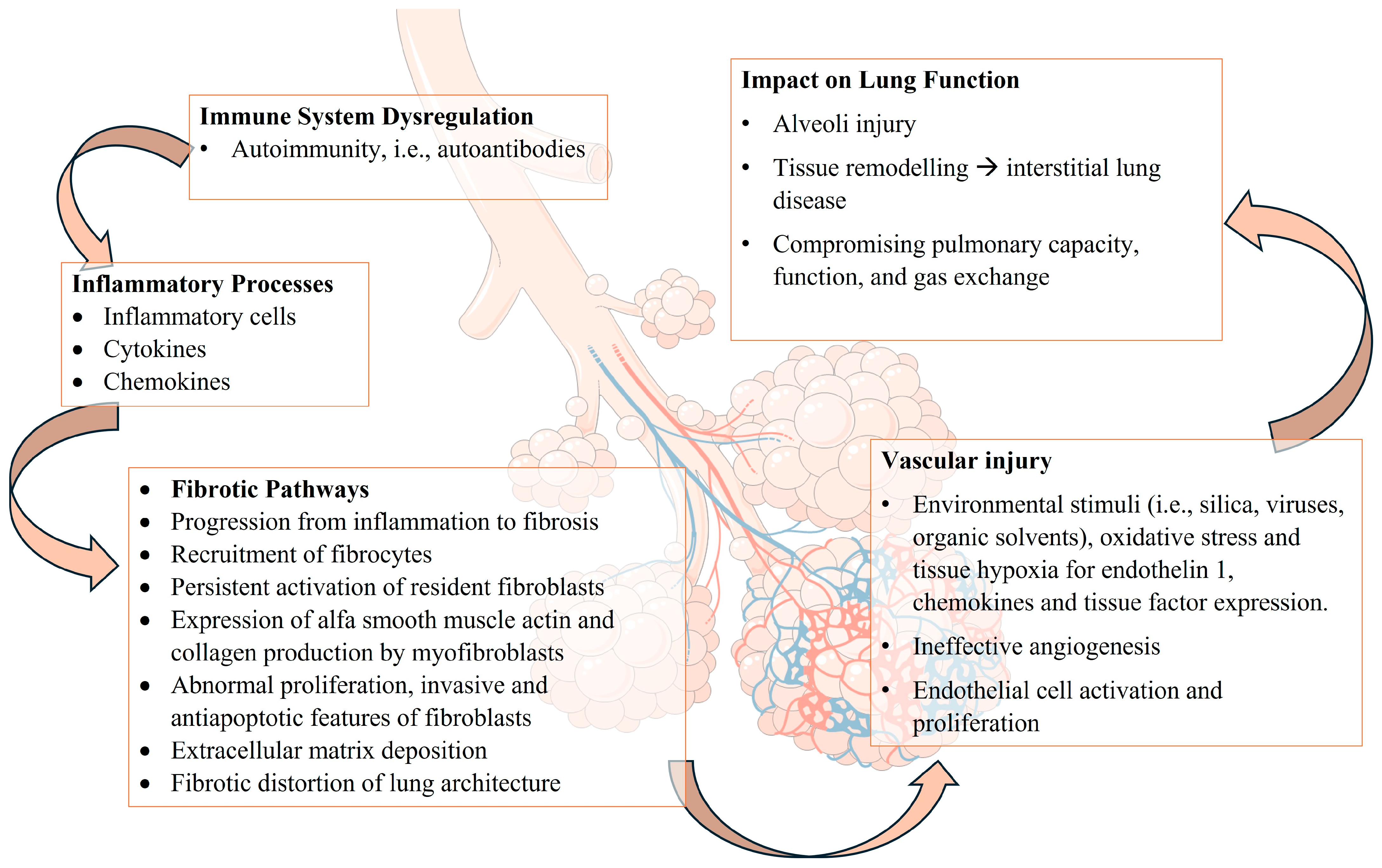 Sclerosis 02 00014 g002