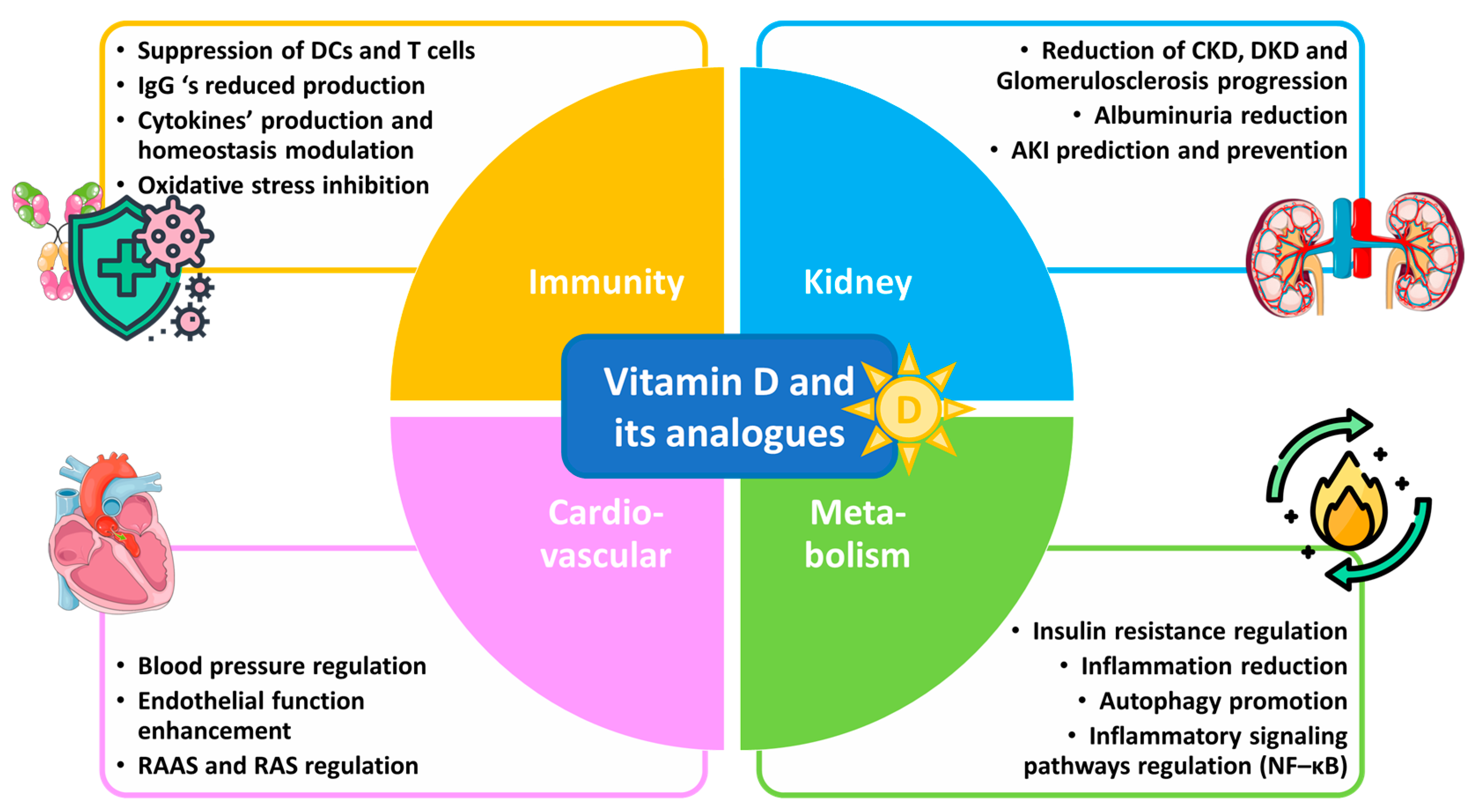 Anti-Inflammatory Benefits of Vitamin D and Its Analogues
