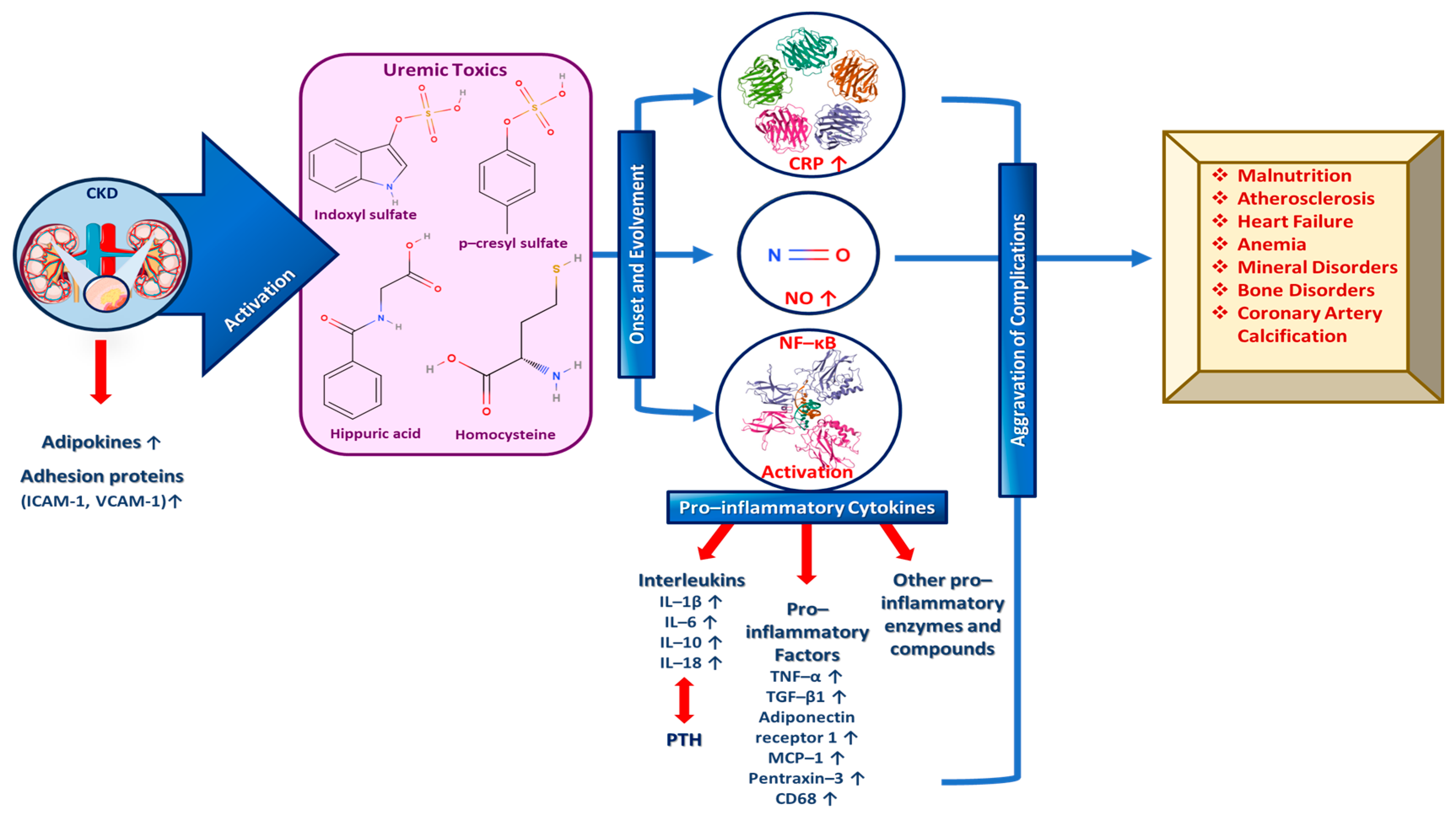 Sclerosis 02 00015 g002 Sclerosis 02 00015 g002