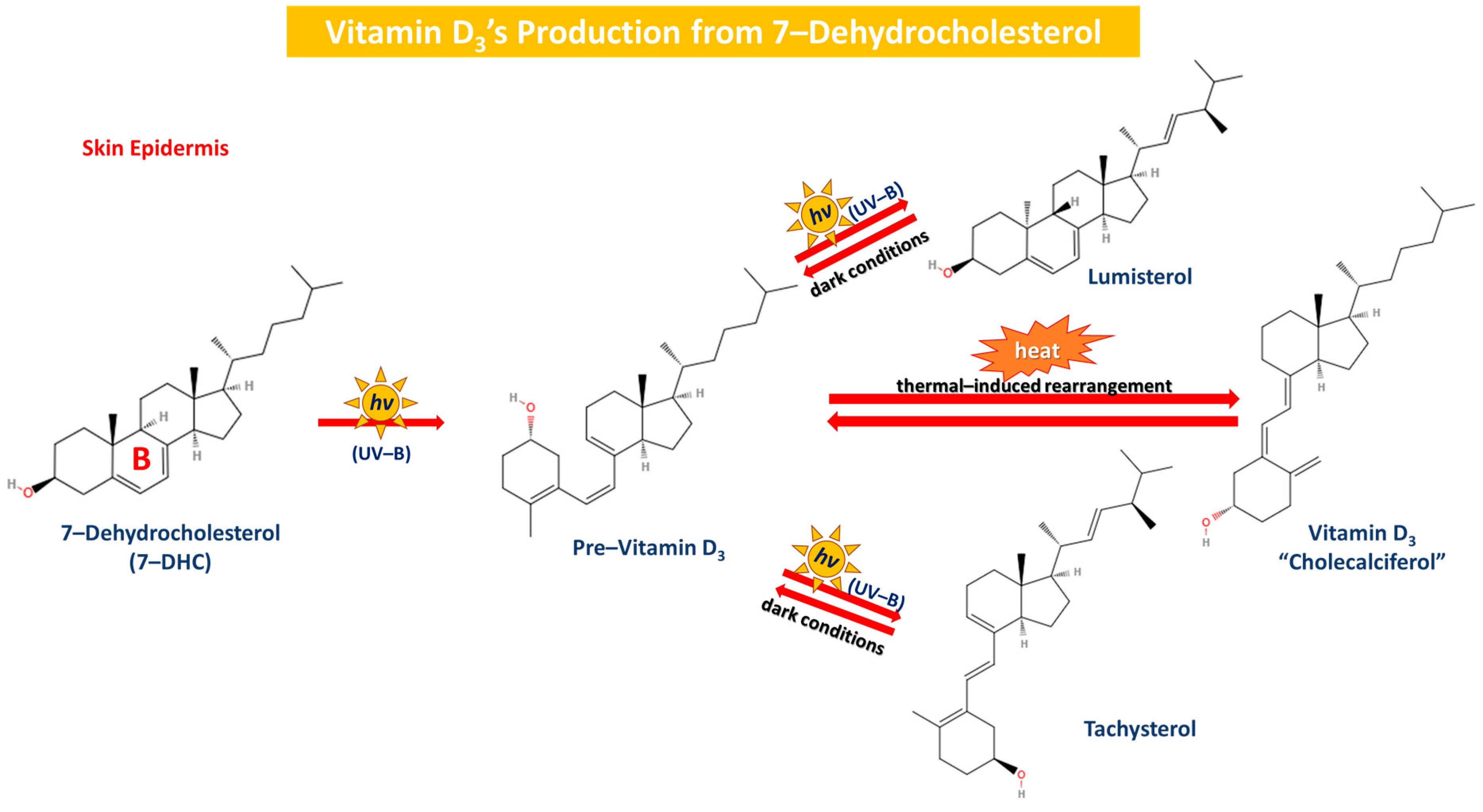 Sclerosis 02 00015 g004 Sclerosis 02 00015 g004