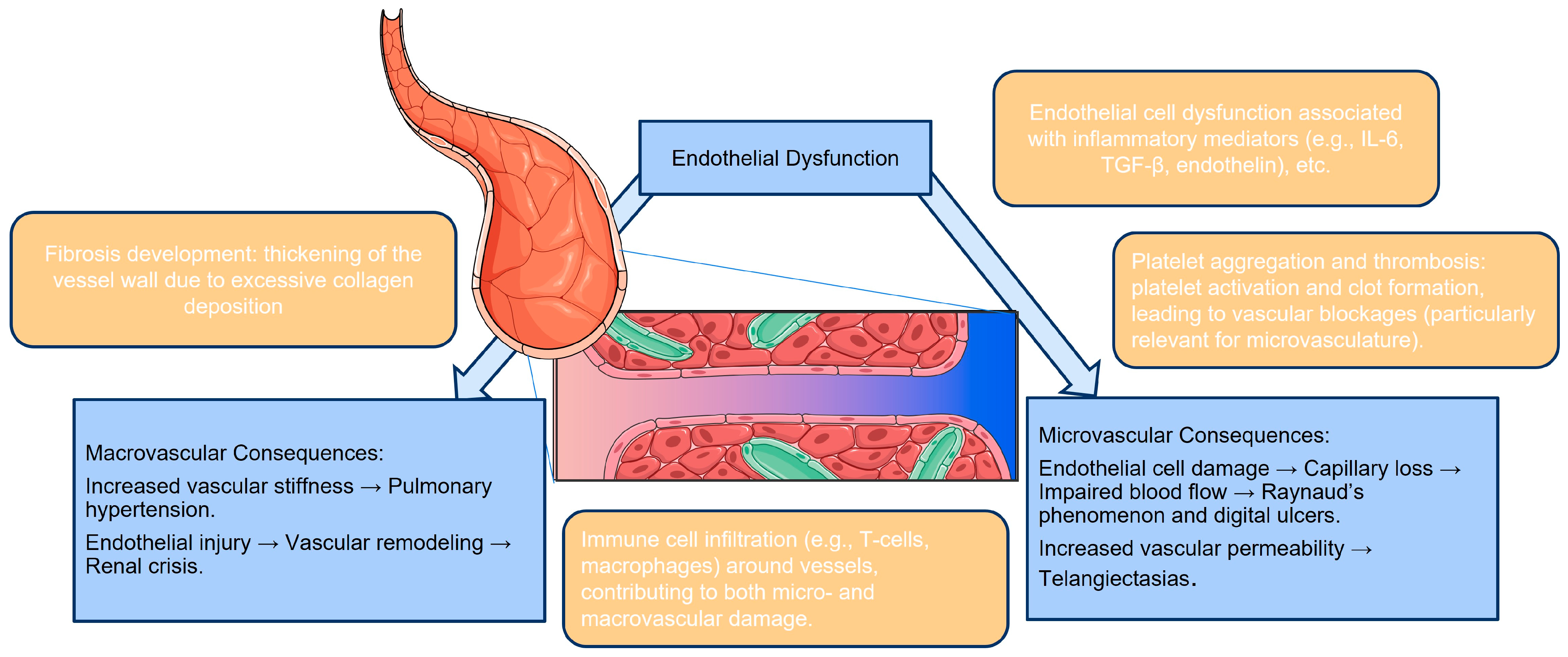 Sclerosis 02 00021 g001