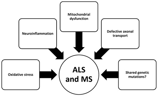 High-Fat Diet—Shared Environmental Risk Factor for Amyotrophic Lateral ...
