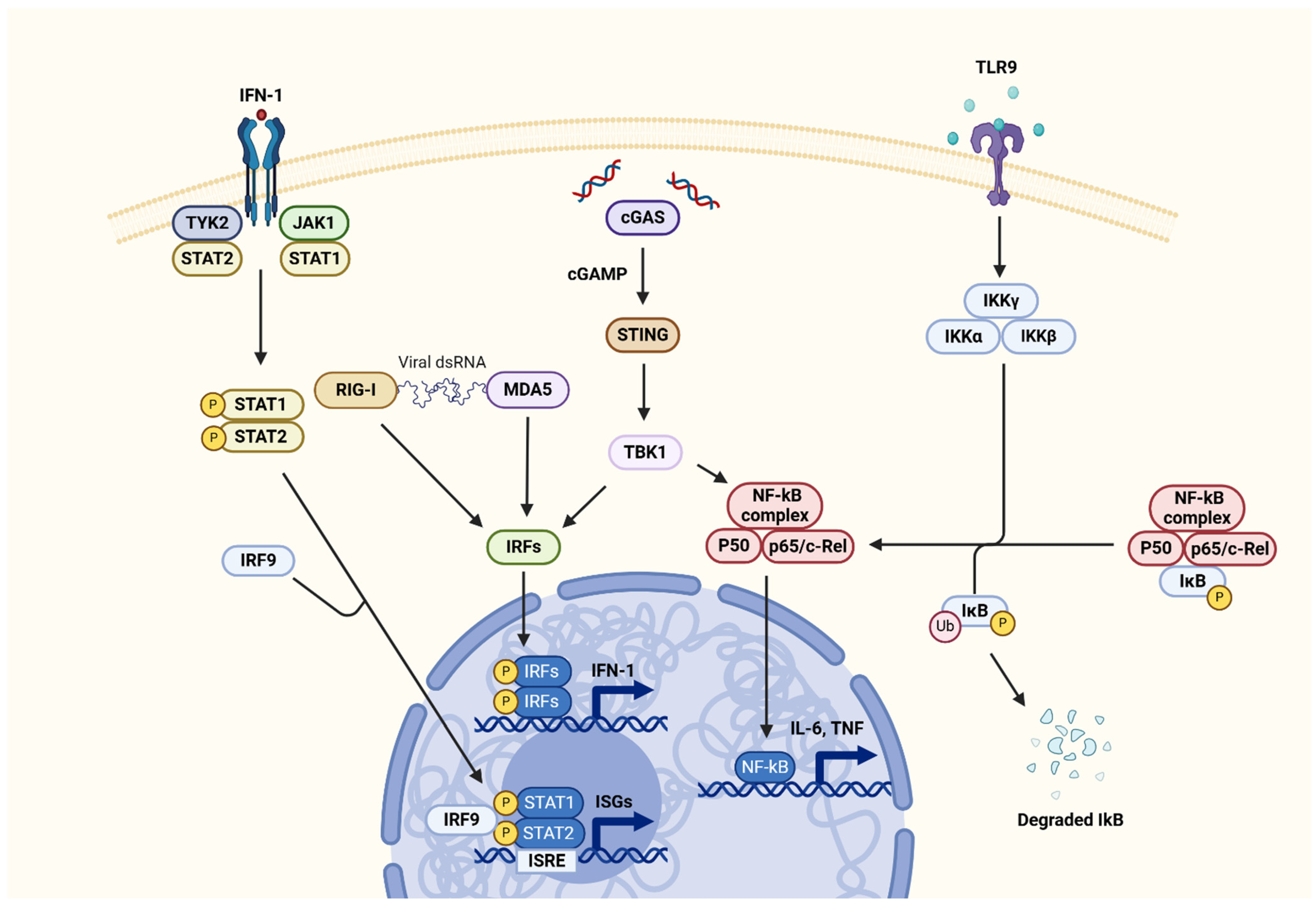 Sclerosis 03 00006 g001 Sclerosis 03 00006 g001