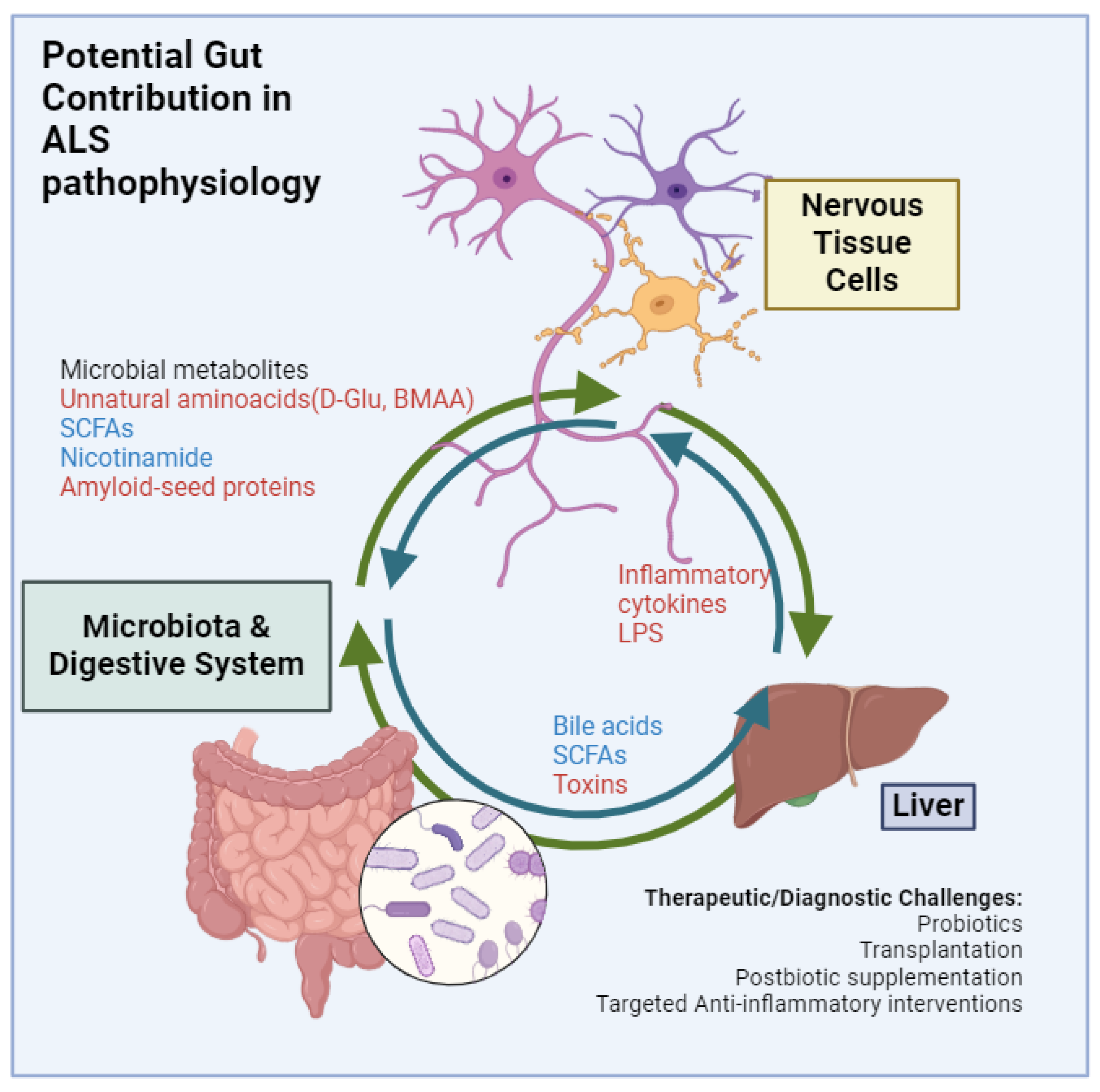 Sclerosis 03 00008 g002 Sclerosis 03 00008 g002