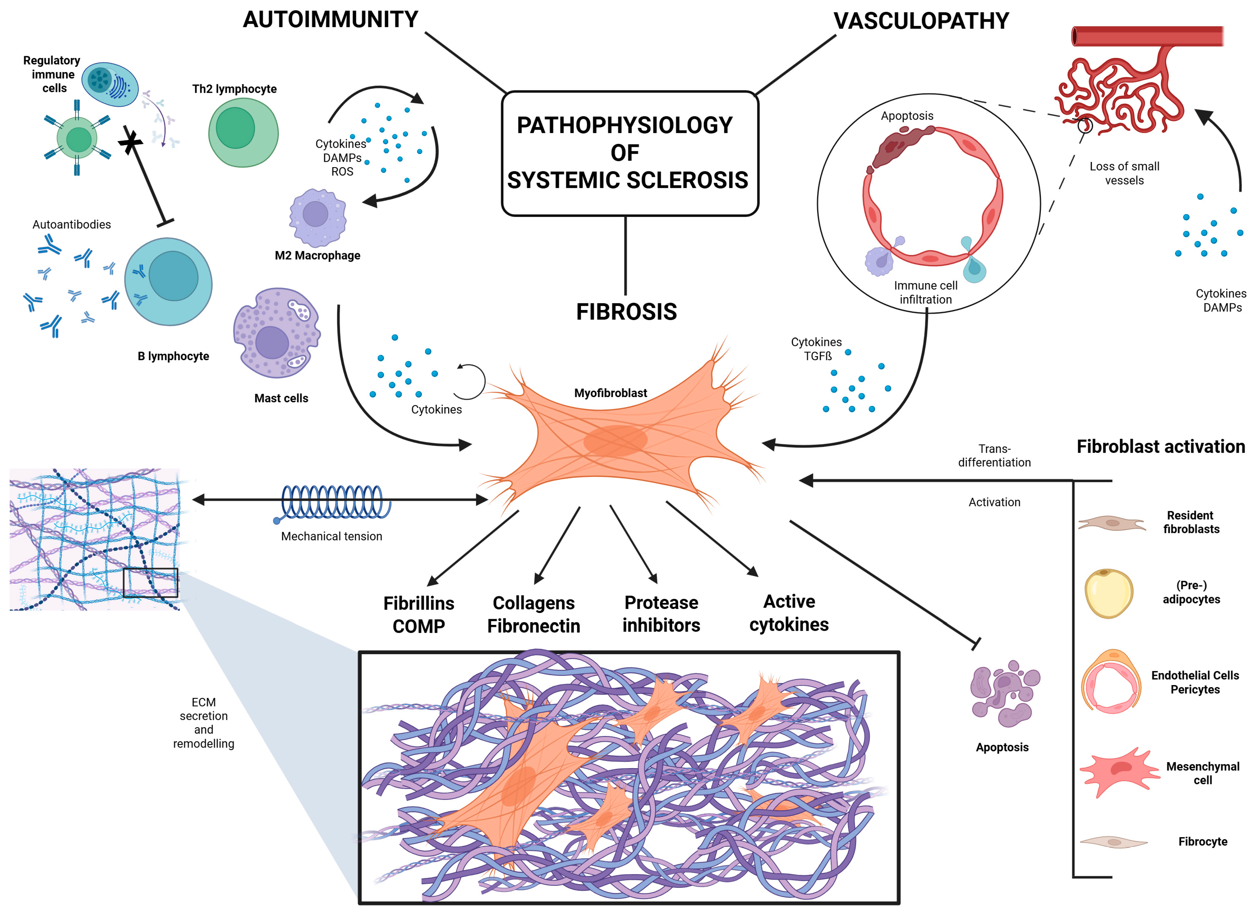 Sclerosis 03 00017 g002 Sclerosis 03 00017 g002
