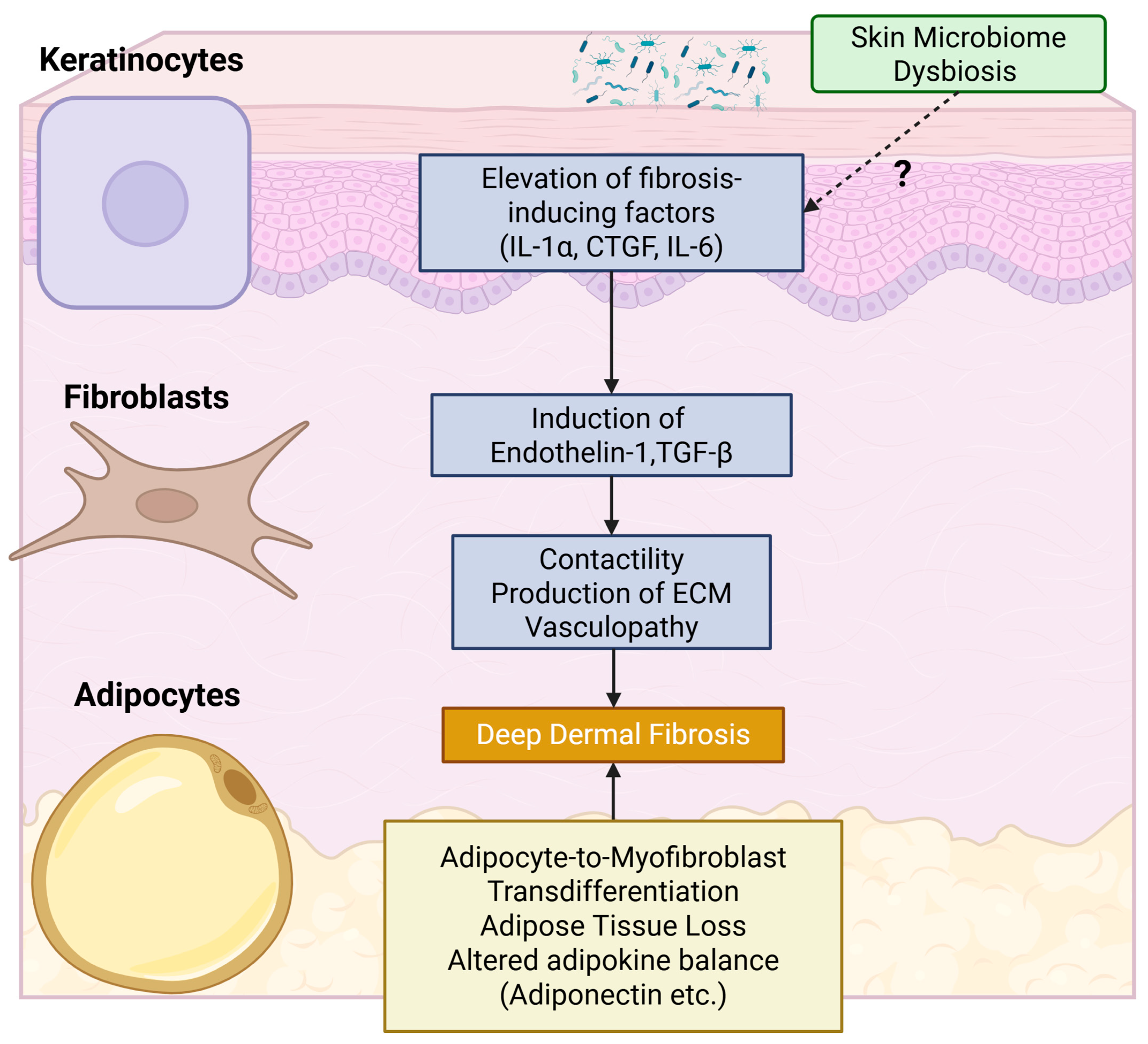 Sclerosis 03 00020 g002 Sclerosis 03 00020 g002