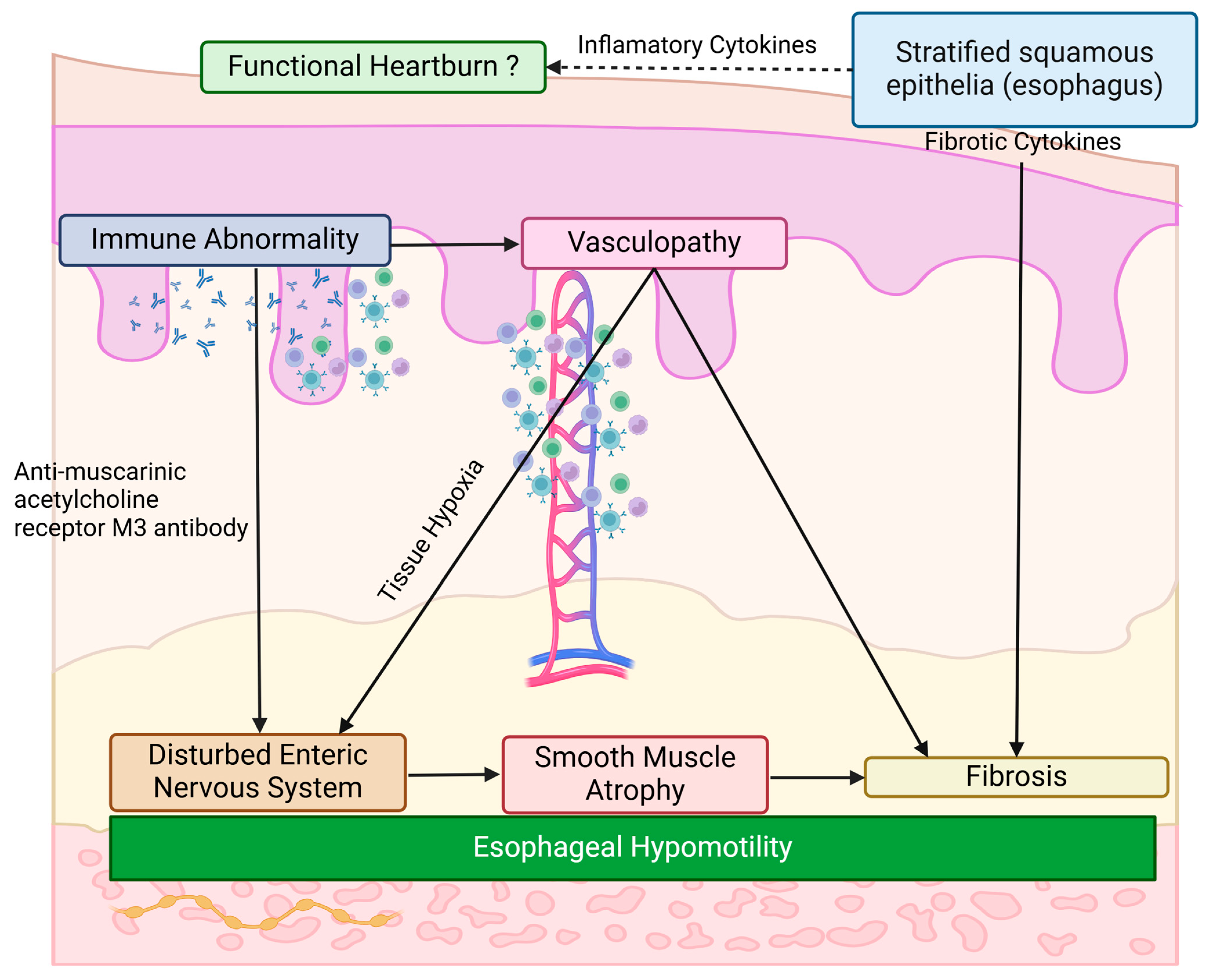 Sclerosis 03 00020 g003 Sclerosis 03 00020 g003