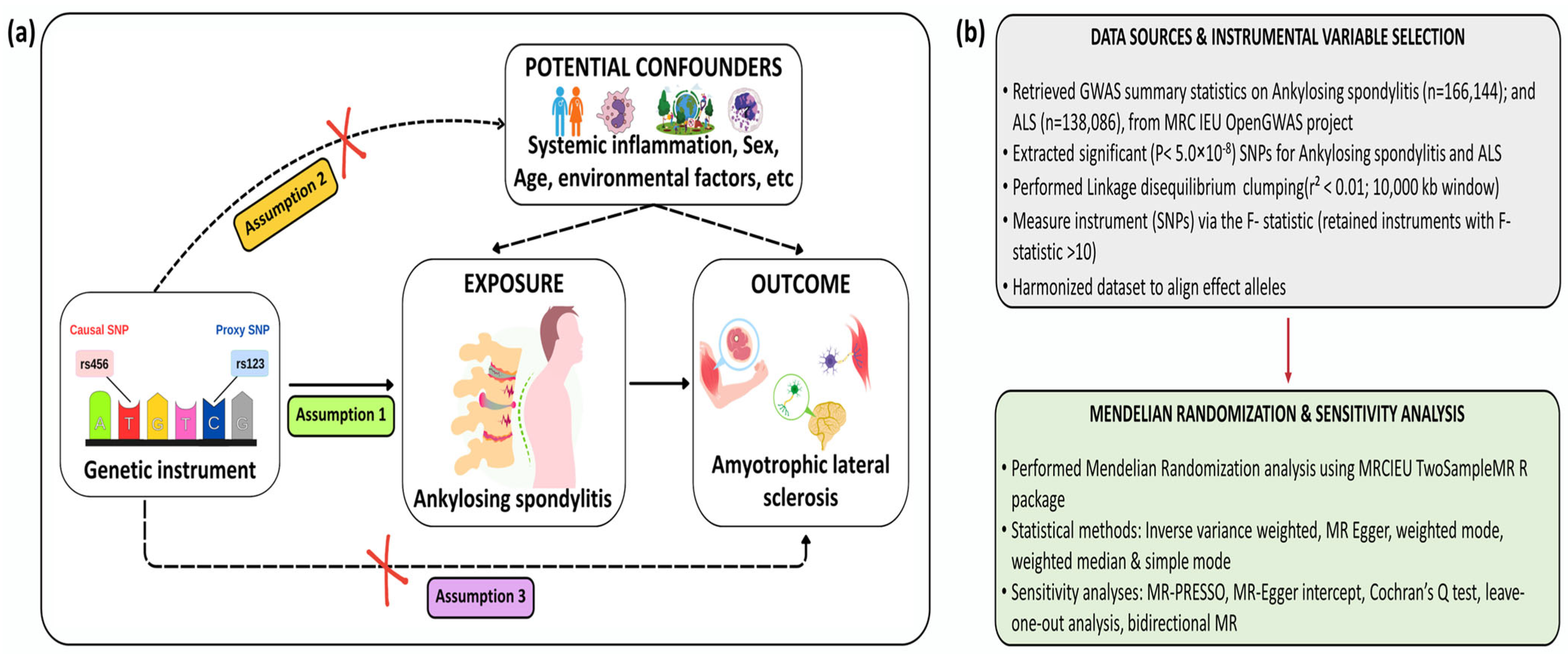 Sclerosis 03 00037 g001
