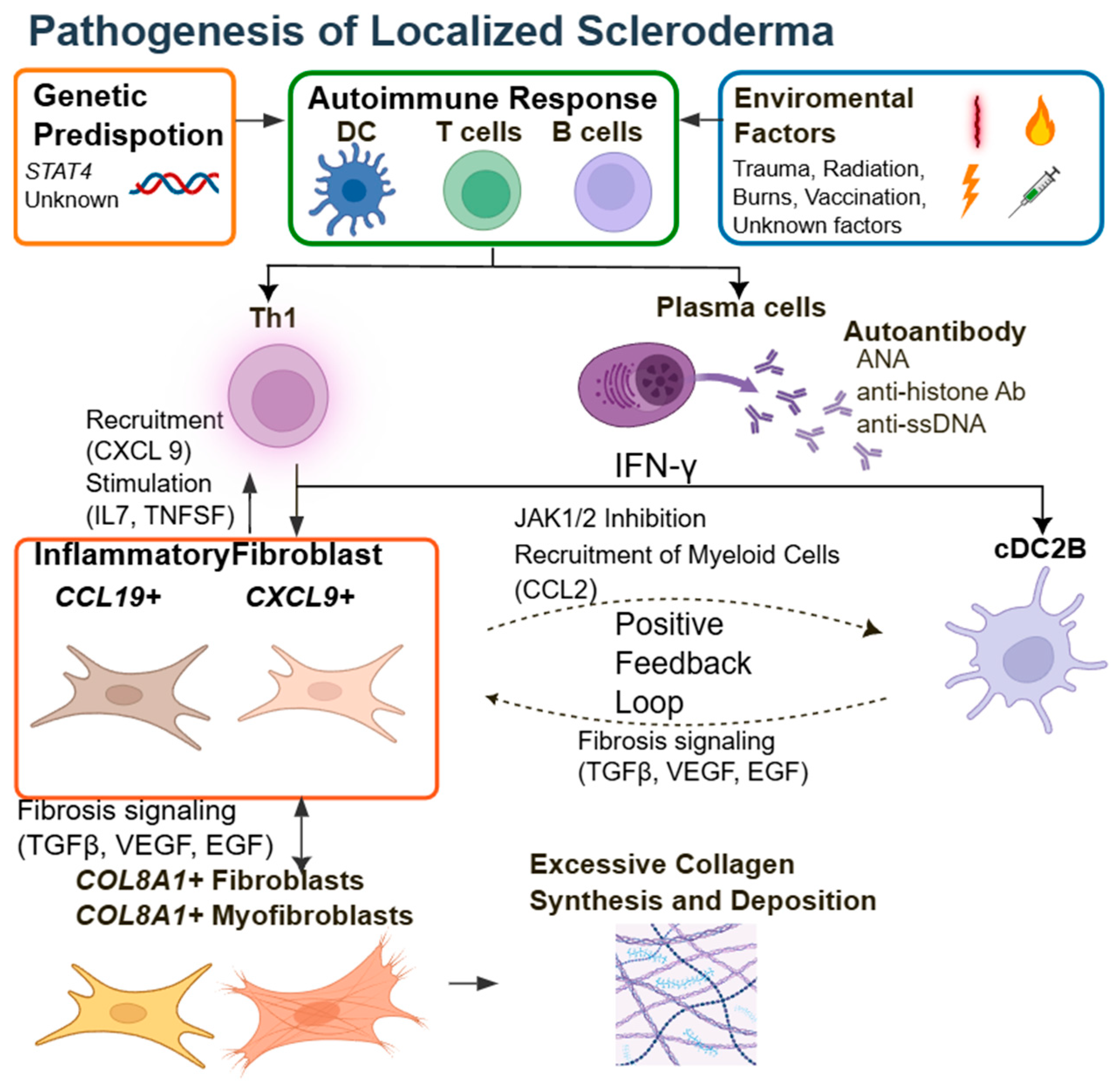 Sclerosis 03 00040 g002