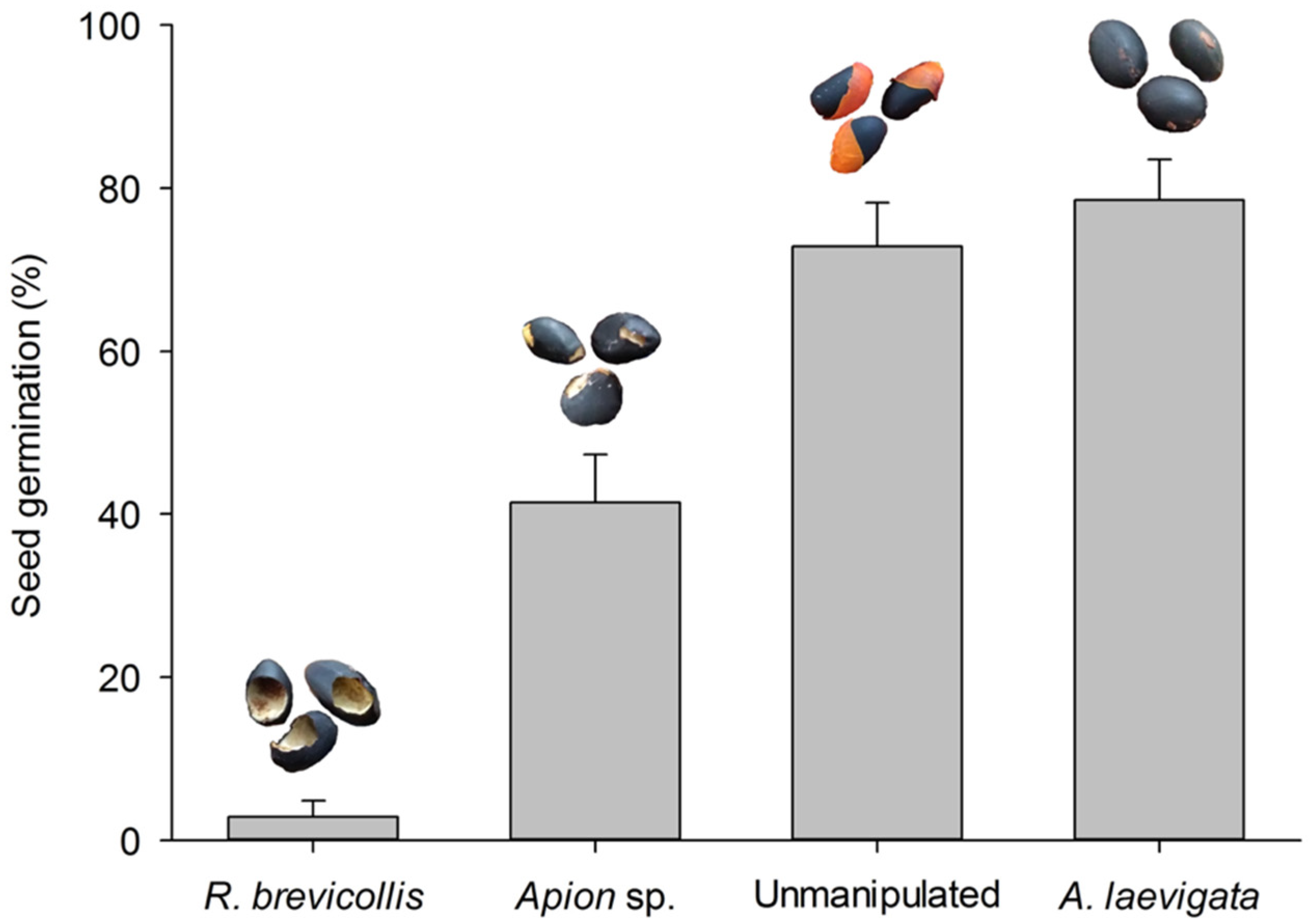 Seeds 01 00003 g002 Seeds 01 00003 g002