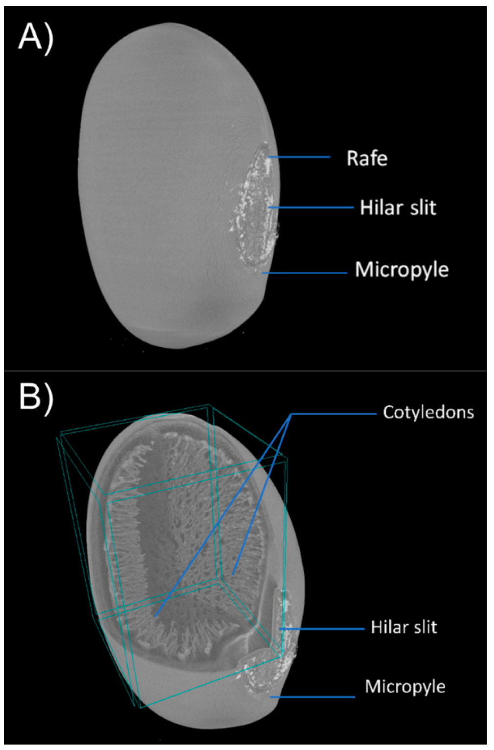Seeds 01 00018 g001 Seeds 01 00018 g001