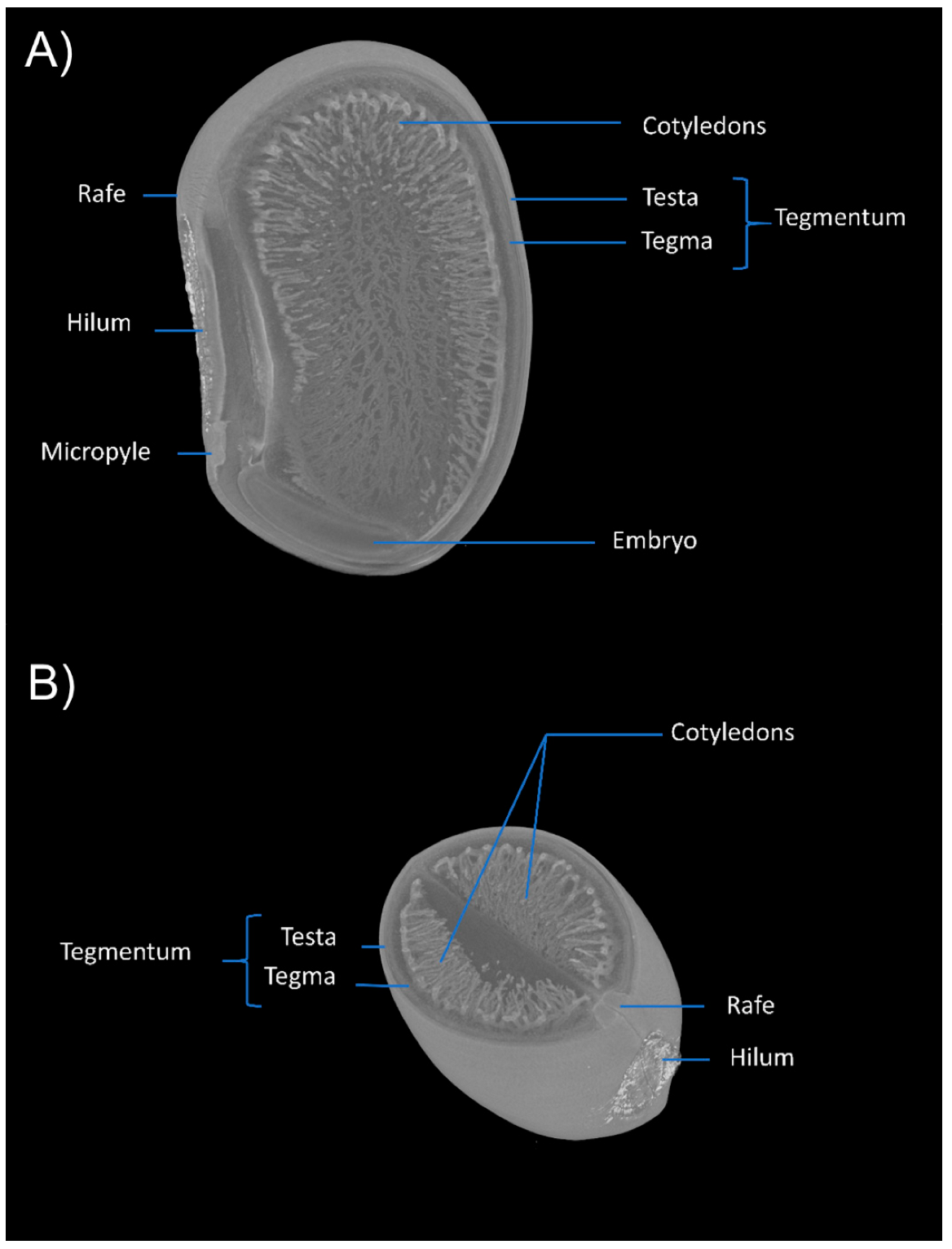 Seeds 01 00018 g002 Seeds 01 00018 g002