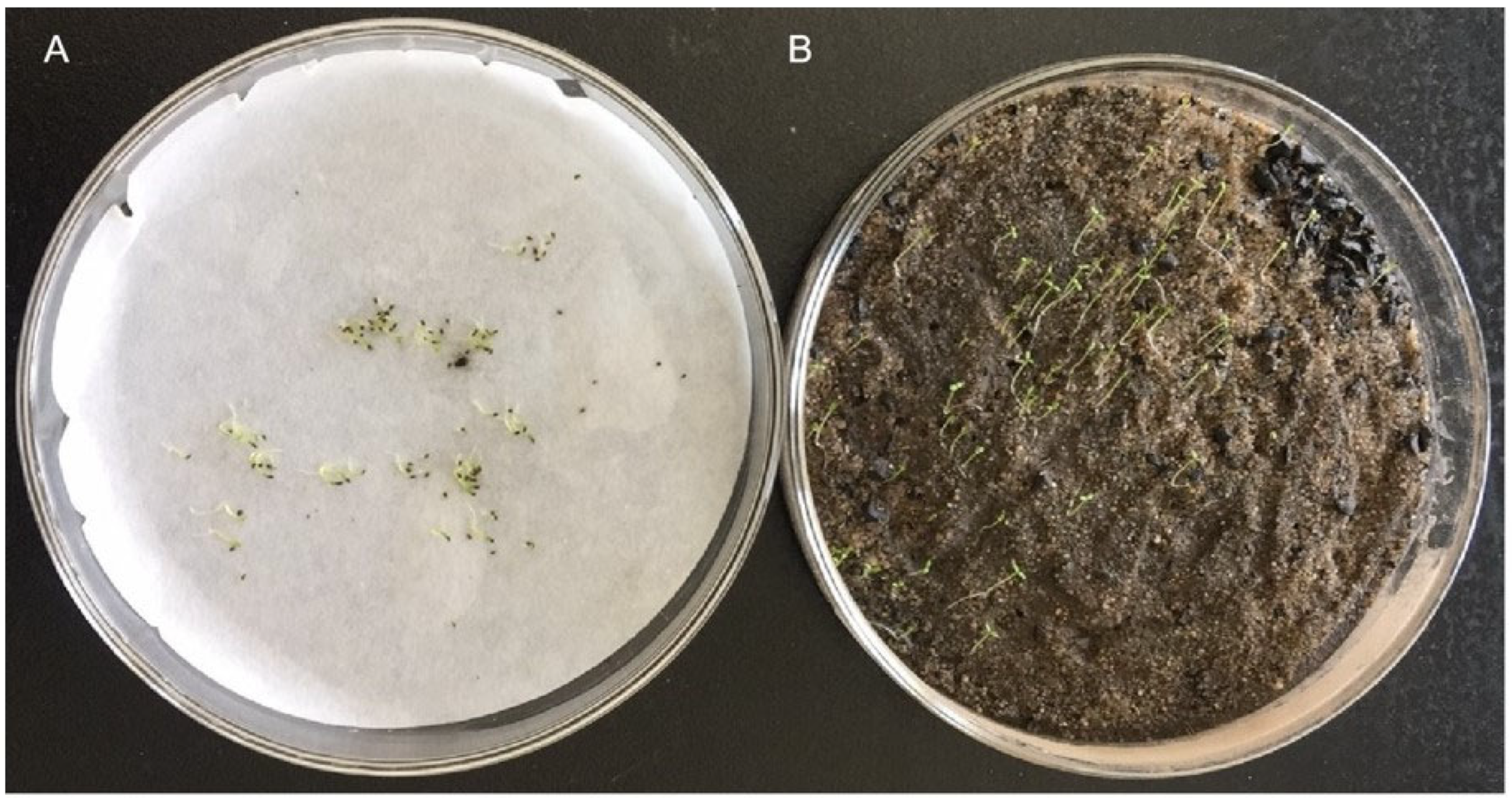 Seeds 01 00019 g002 Seeds 01 00019 g002