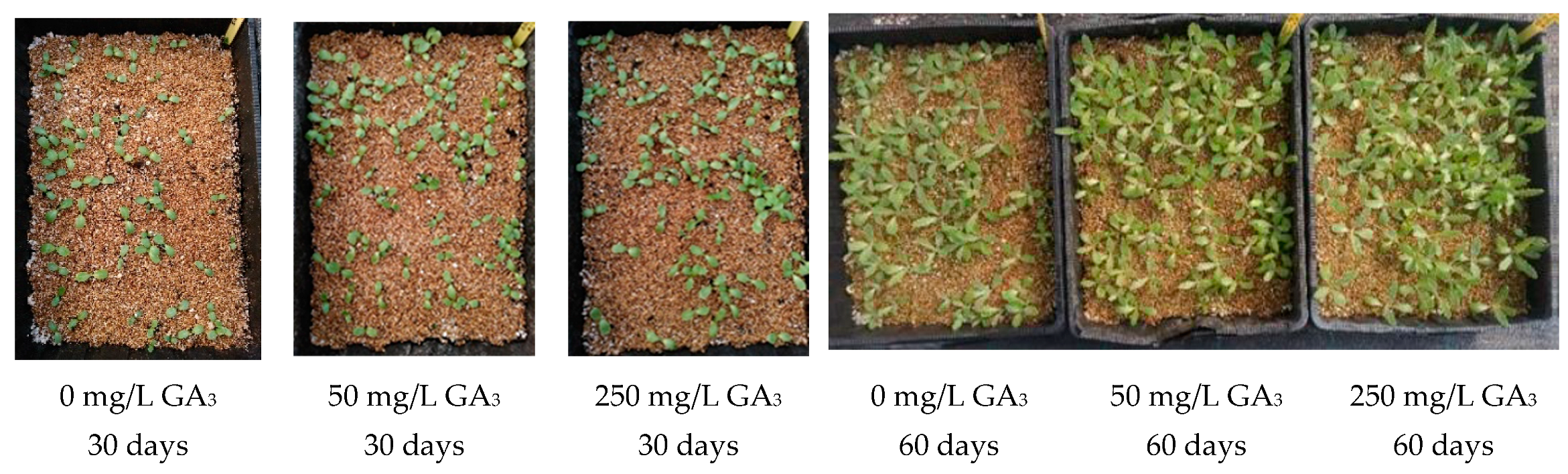 Seeds 01 00024 g009 Seeds 01 00024 g009