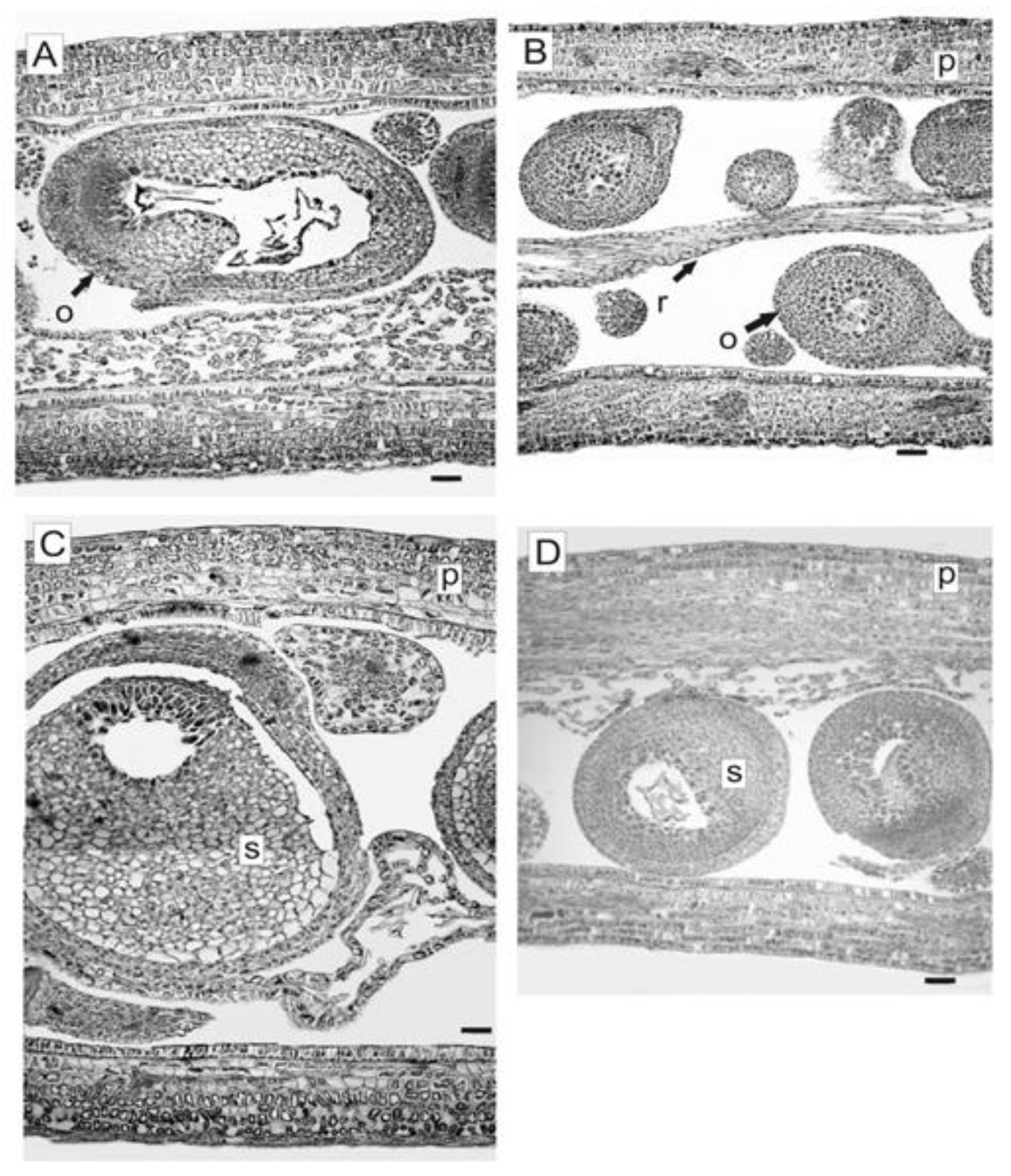 Seeds 02 00012 g005